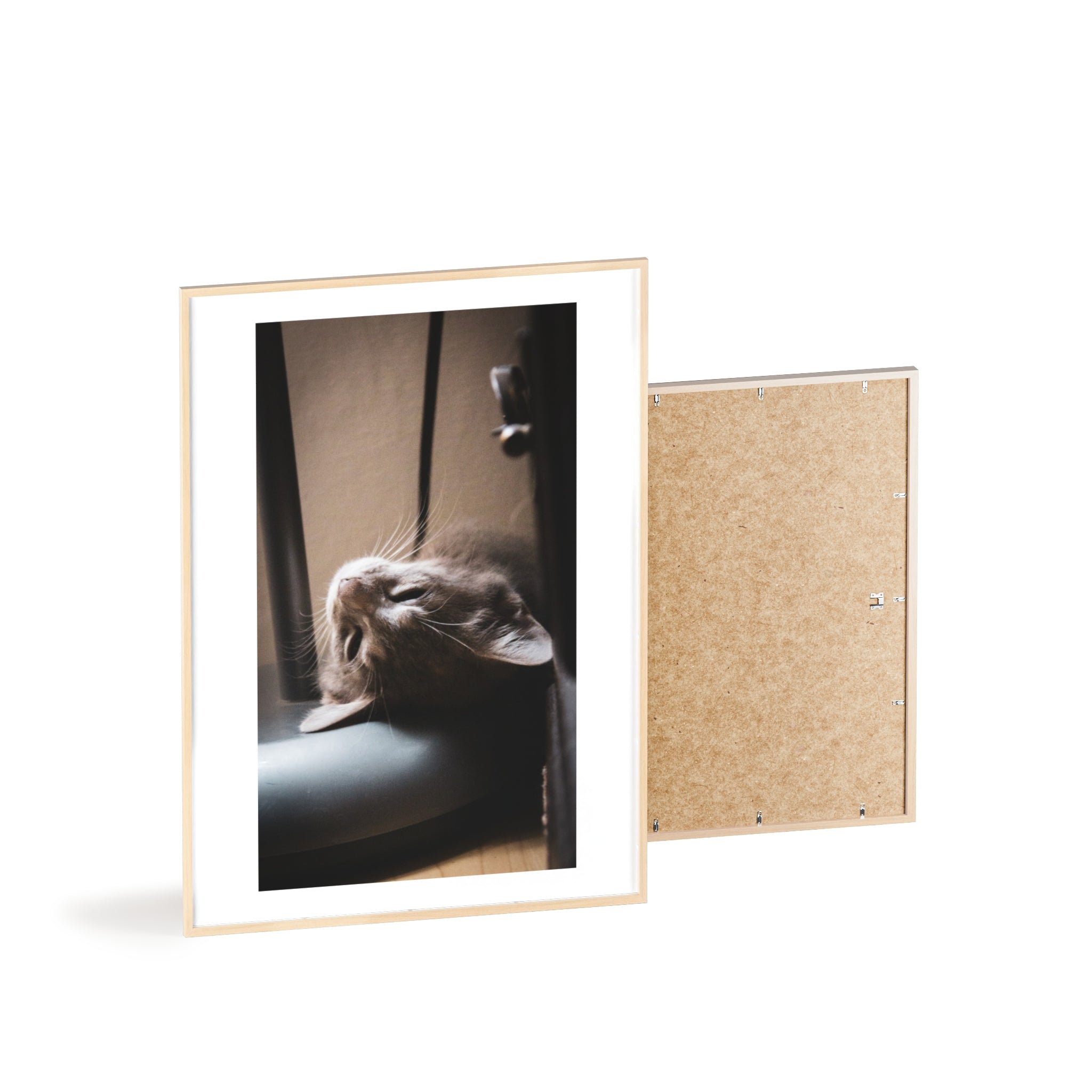 Framed Cat Photo Poster — Relaxing Nap Wall Art