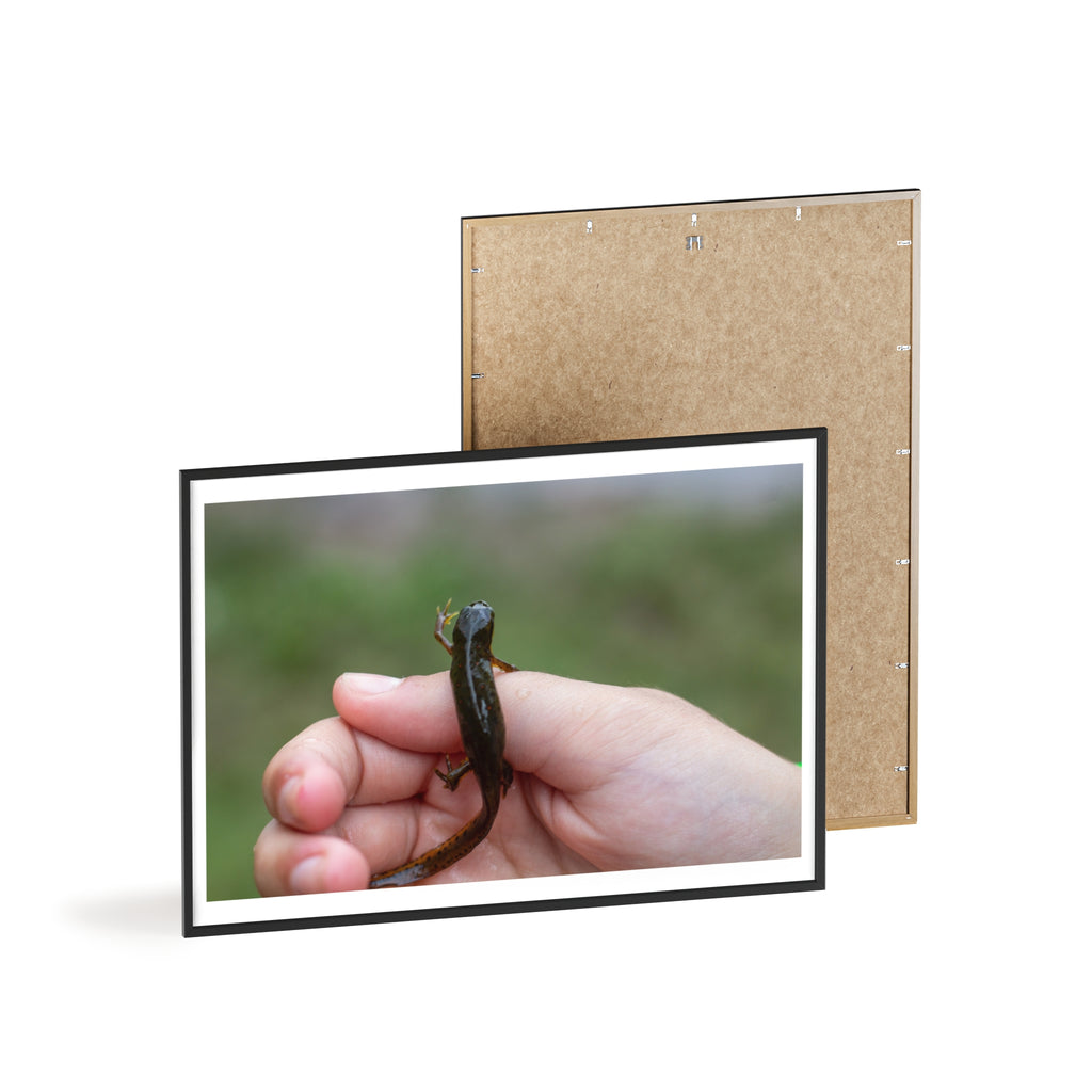 Framed Wildlife Photo Poster — Child Holding Newt