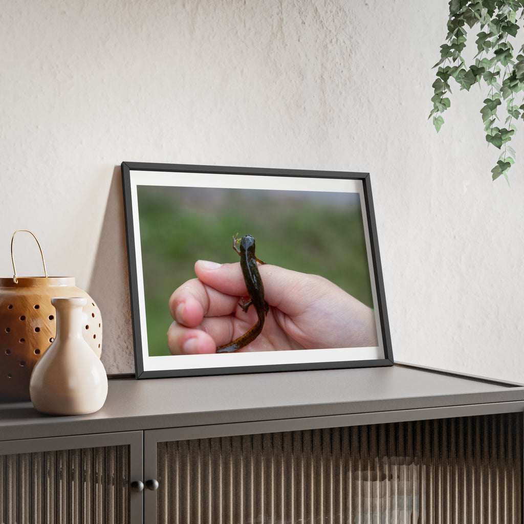 Framed Wildlife Photo Poster — Child Holding Newt