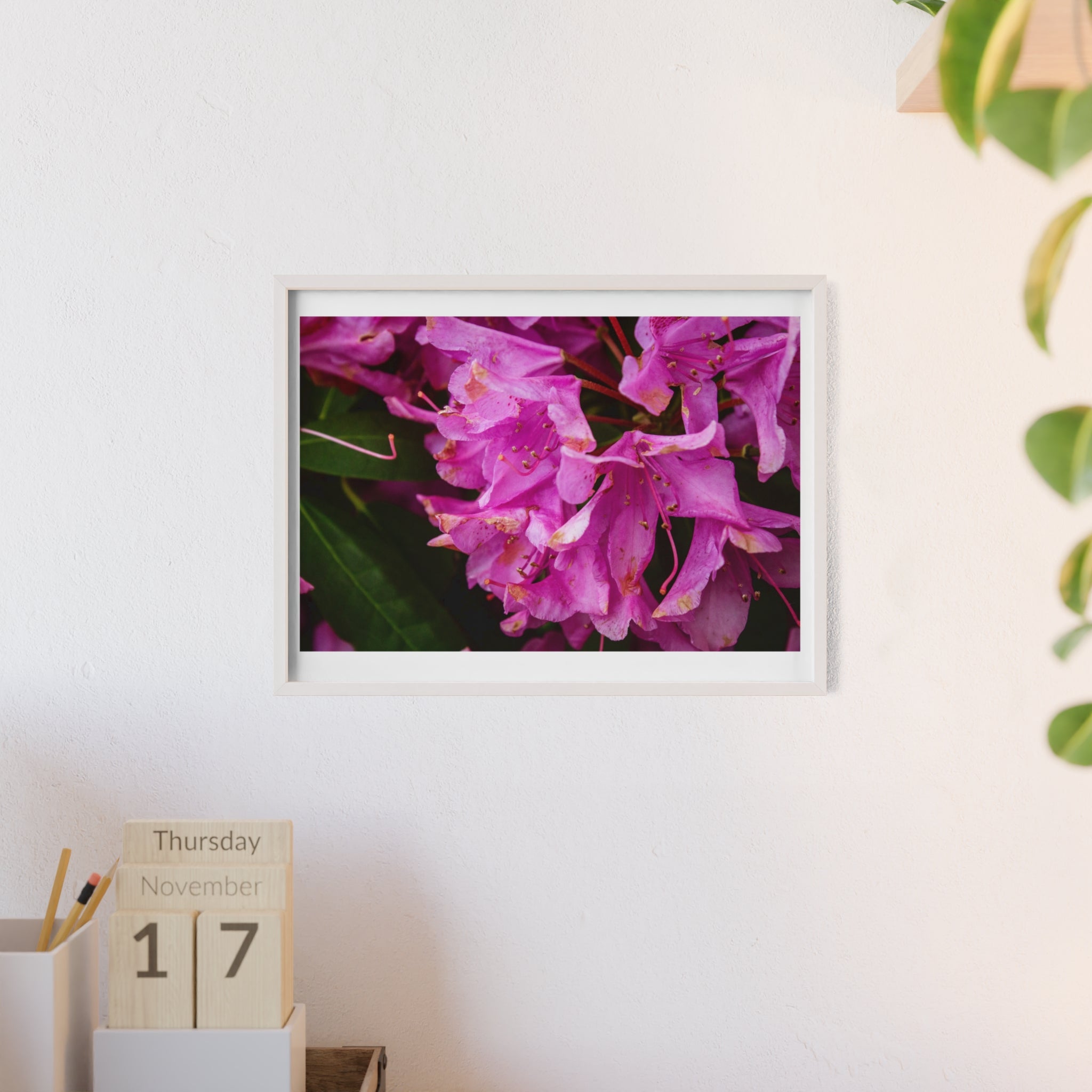 Framed Pink Rhododendron Poster — Floral Wall Art with Wooden Frame