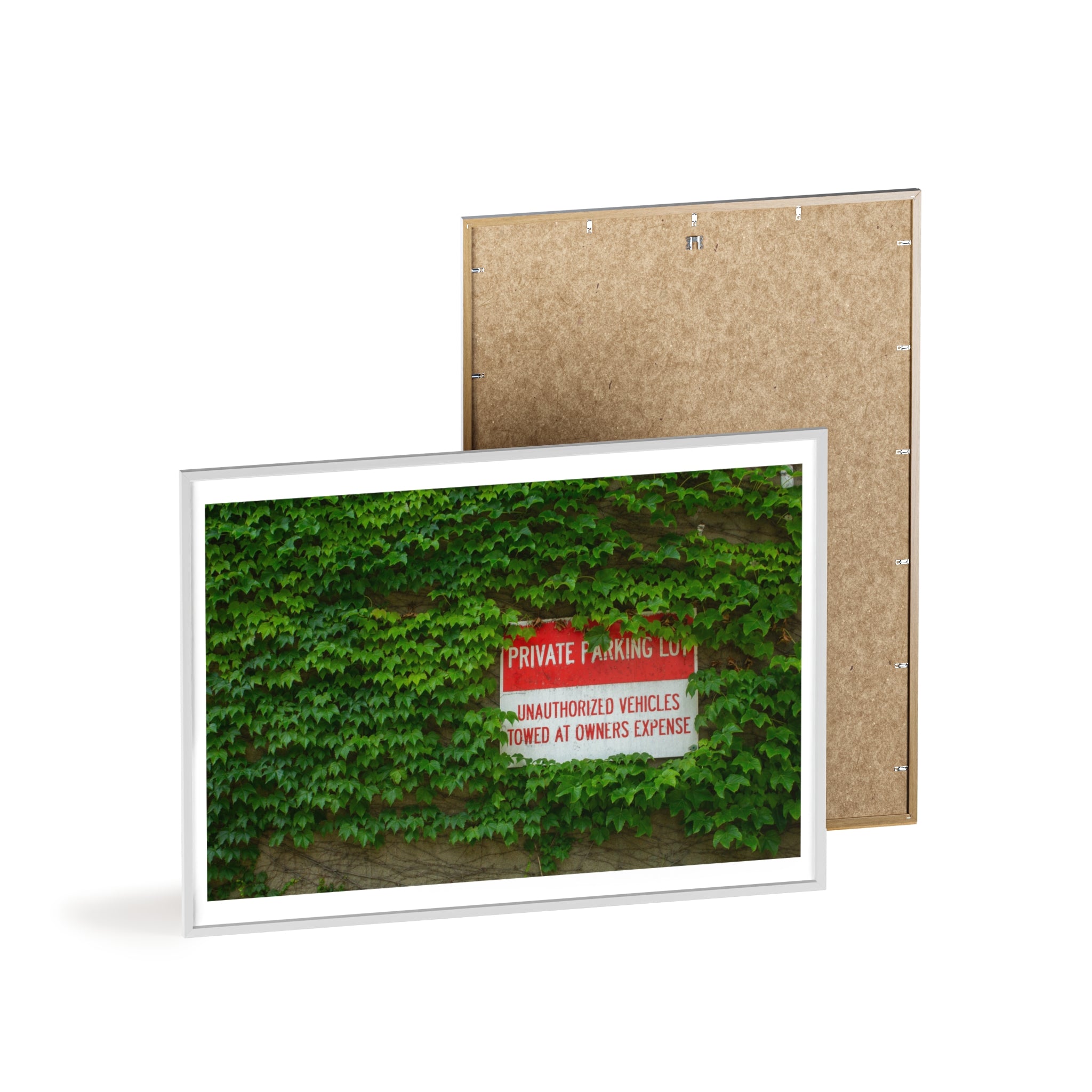 Ivy-Covered Wall Poster with Wooden Frame — “Private Parking” Vintage Sign Art