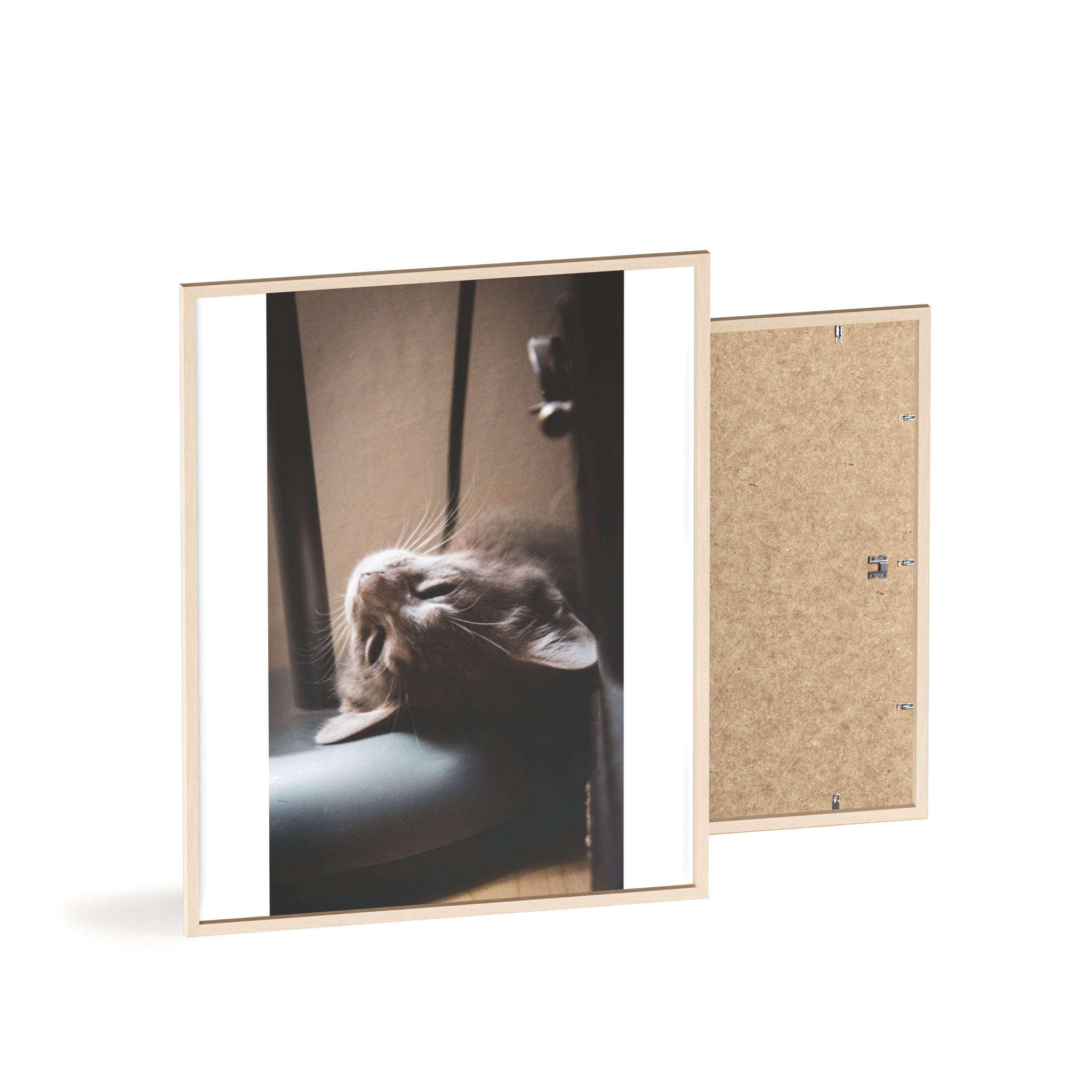Framed Cat Photo Poster — Relaxing Nap Wall Art