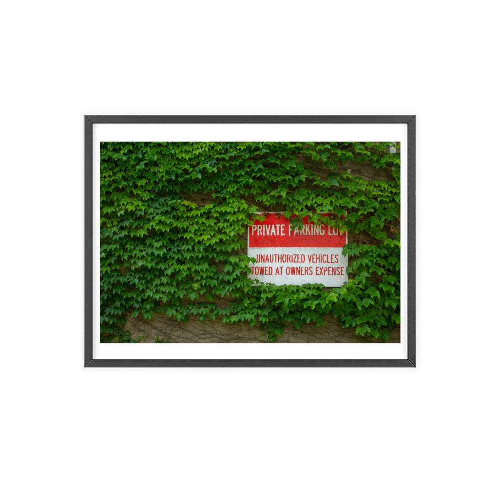 Red 'Private Parking' sign on a wall covered with green ivy