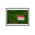 Red 'Private Parking' sign on a wall covered with green ivy