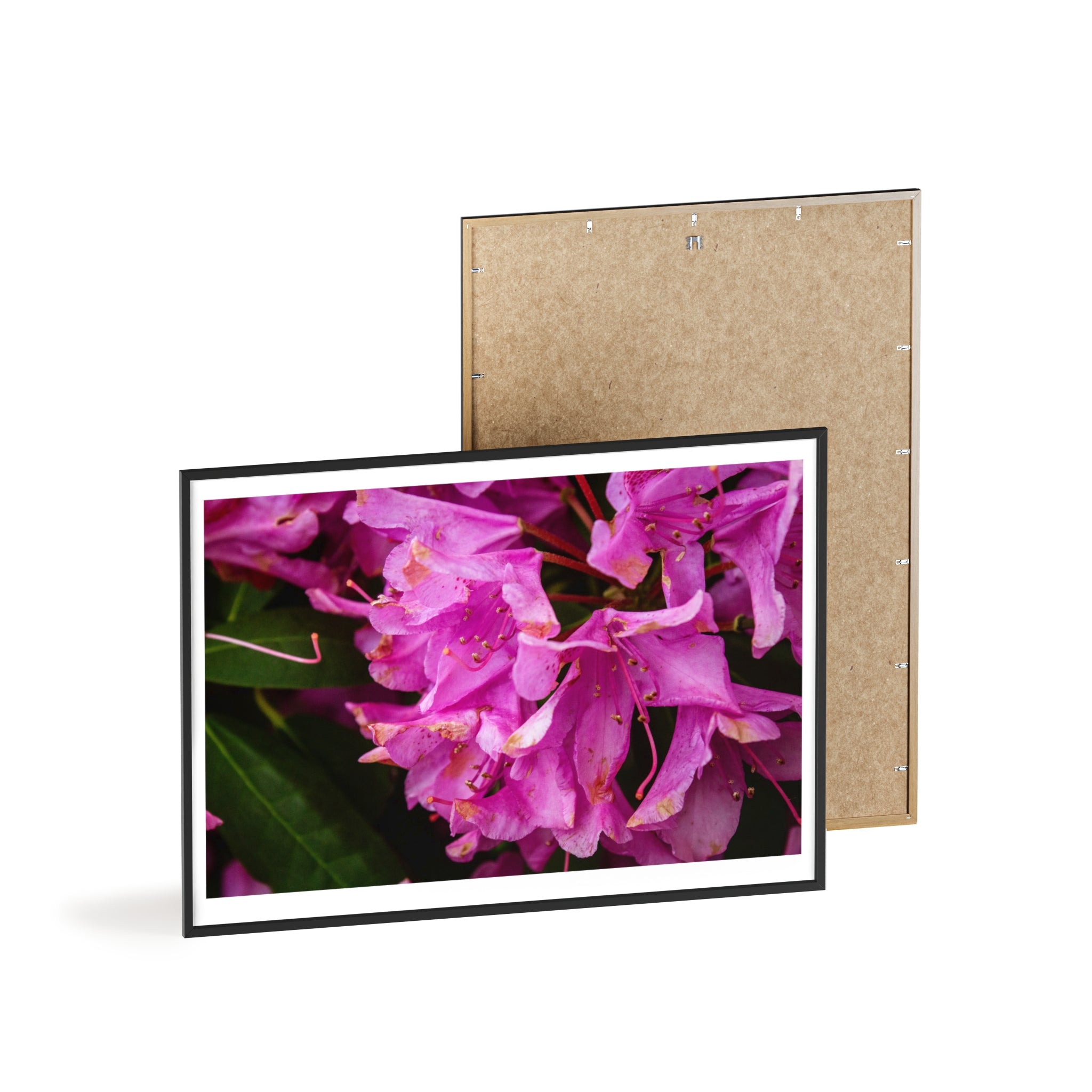 Framed Pink Rhododendron Poster — Floral Wall Art with Wooden Frame