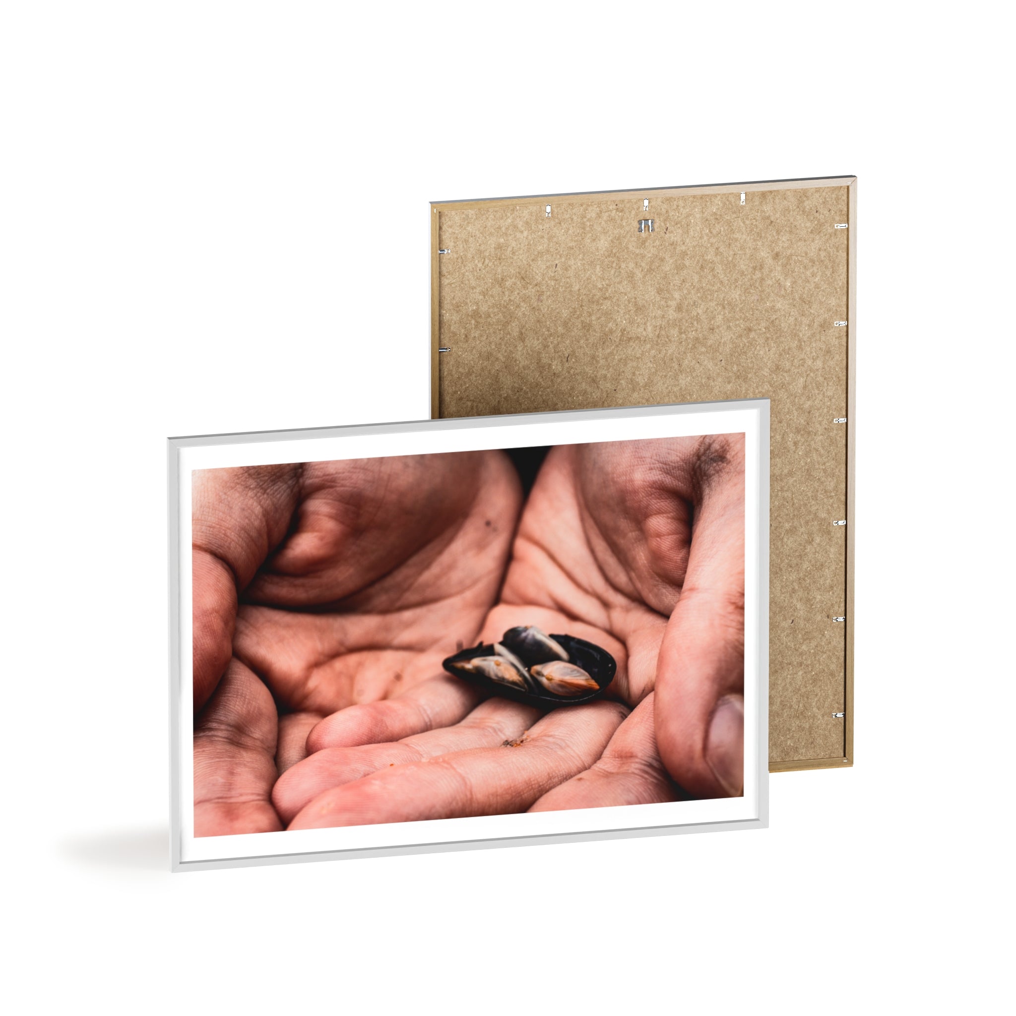 Framed Hands & Shells Art Print — Rustic Botanical Wall Poster