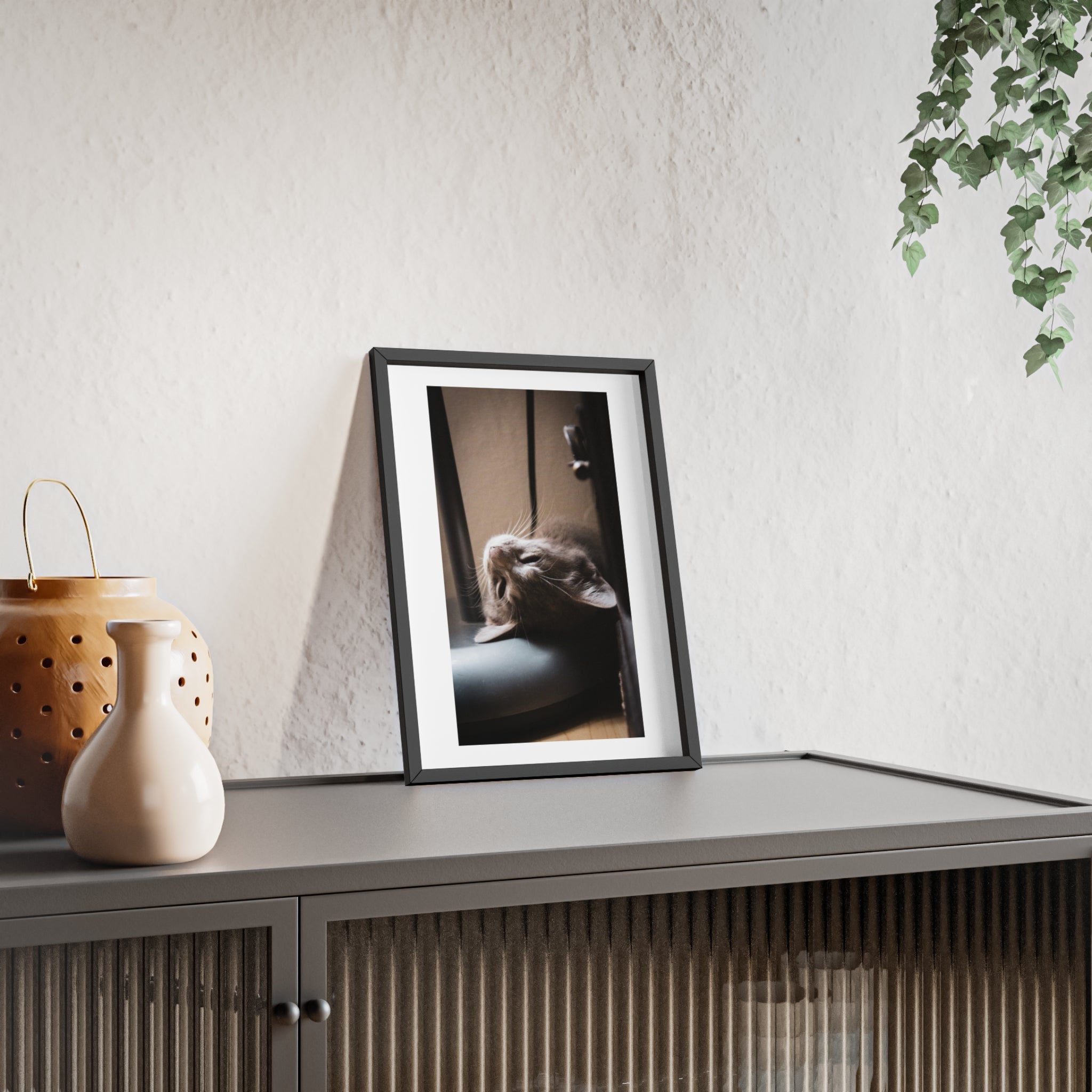 Framed Cat Photo Poster — Relaxing Nap Wall Art