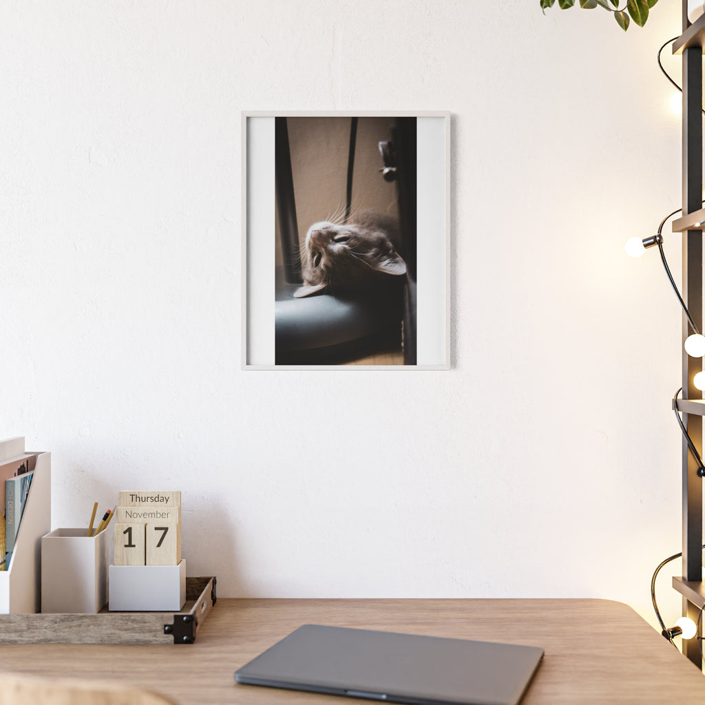 Framed Cat Photo Poster — Relaxing Nap Wall Art