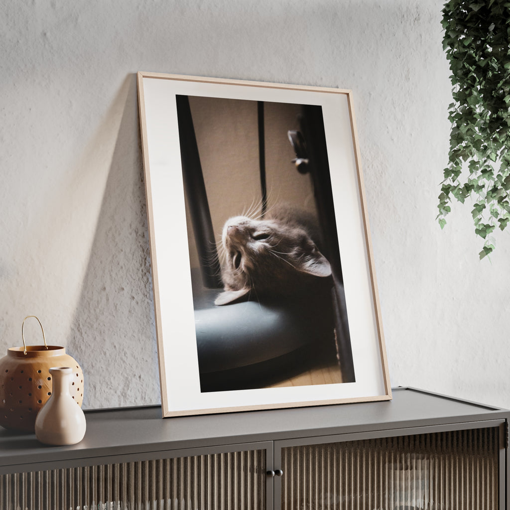 Framed Cat Photo Poster — Relaxing Nap Wall Art