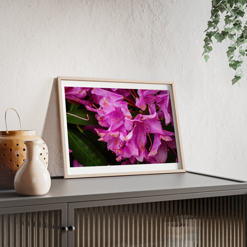 Framed Pink Rhododendron Poster — Floral Wall Art with Wooden Frame