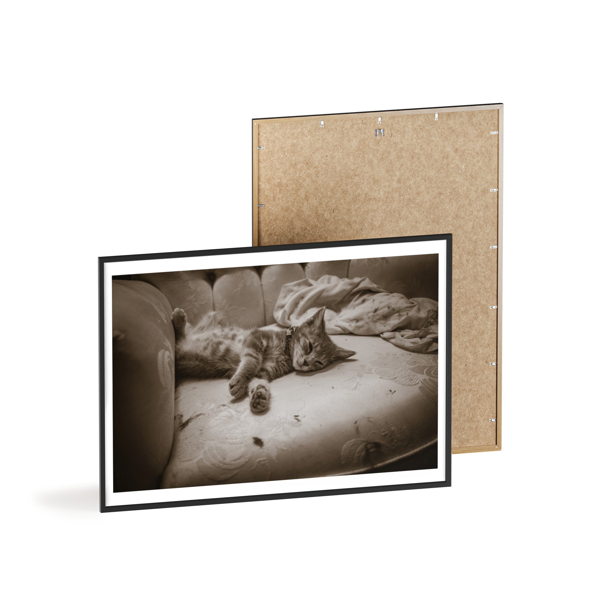 Sepia Cat Photo Poster with Wooden Frame — Vintage Wall Art for Cat Lovers