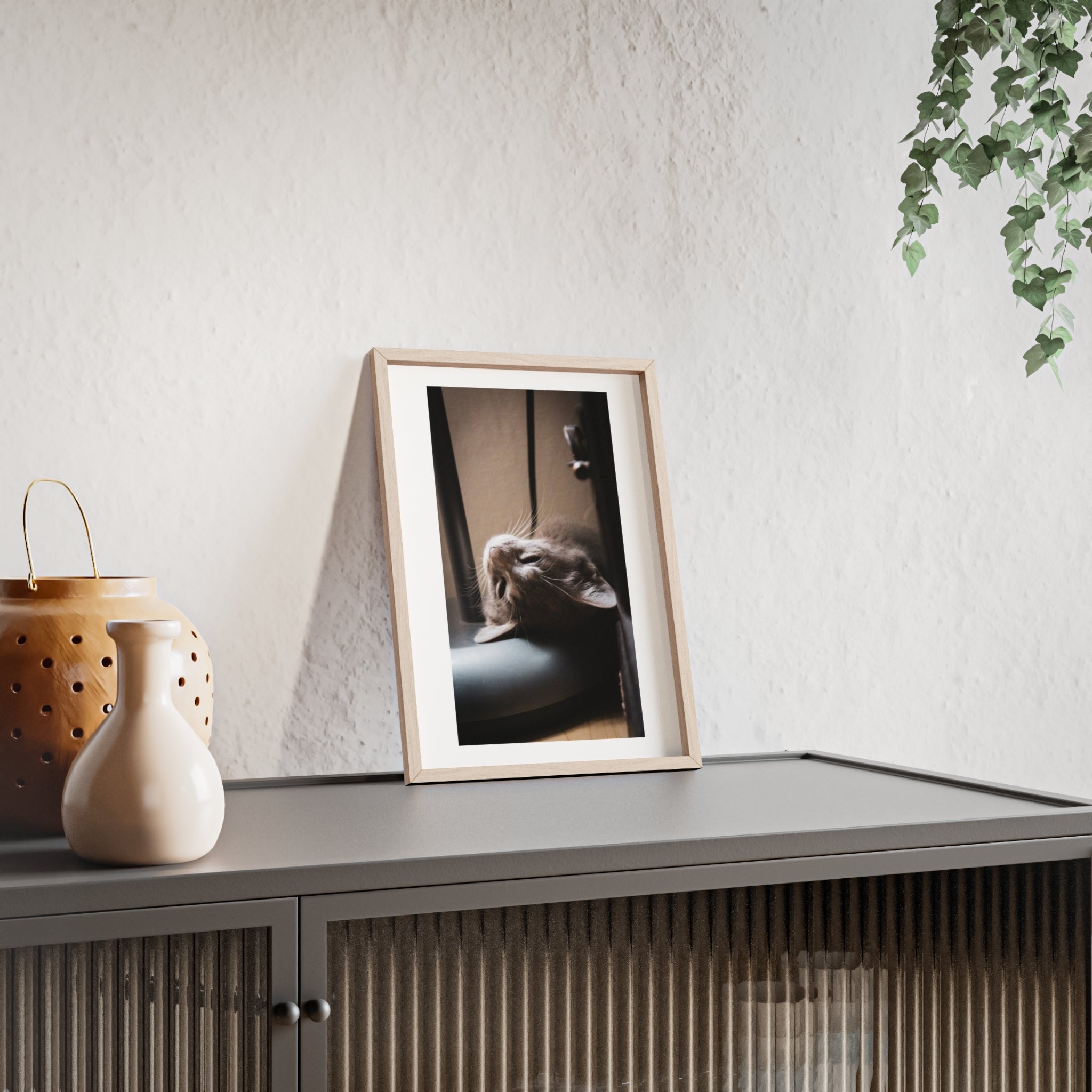 Framed Cat Photo Poster — Relaxing Nap Wall Art