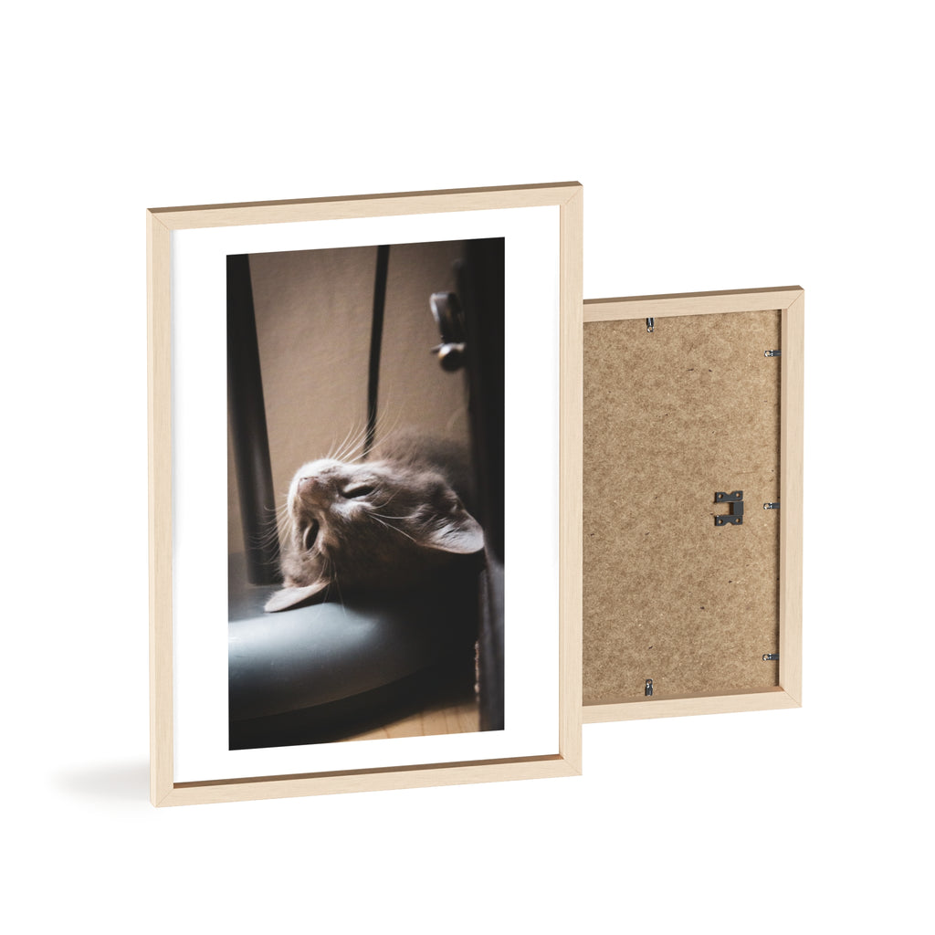 Framed Cat Photo Poster — Relaxing Nap Wall Art