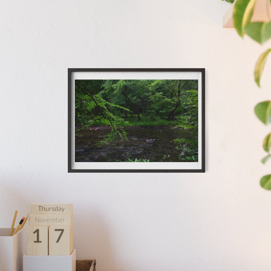 Framed Forest Stream Poster — Wooden Black Frame Nature Wall Art