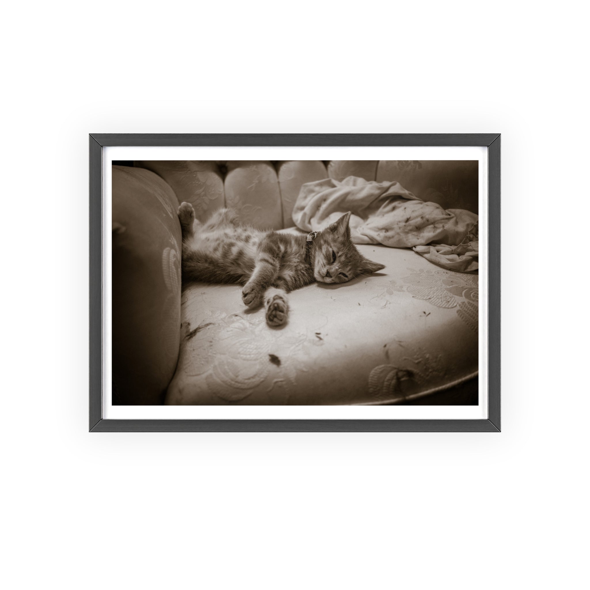 Sepia Cat Photo Poster with Wooden Frame — Vintage Wall Art for Cat Lovers
