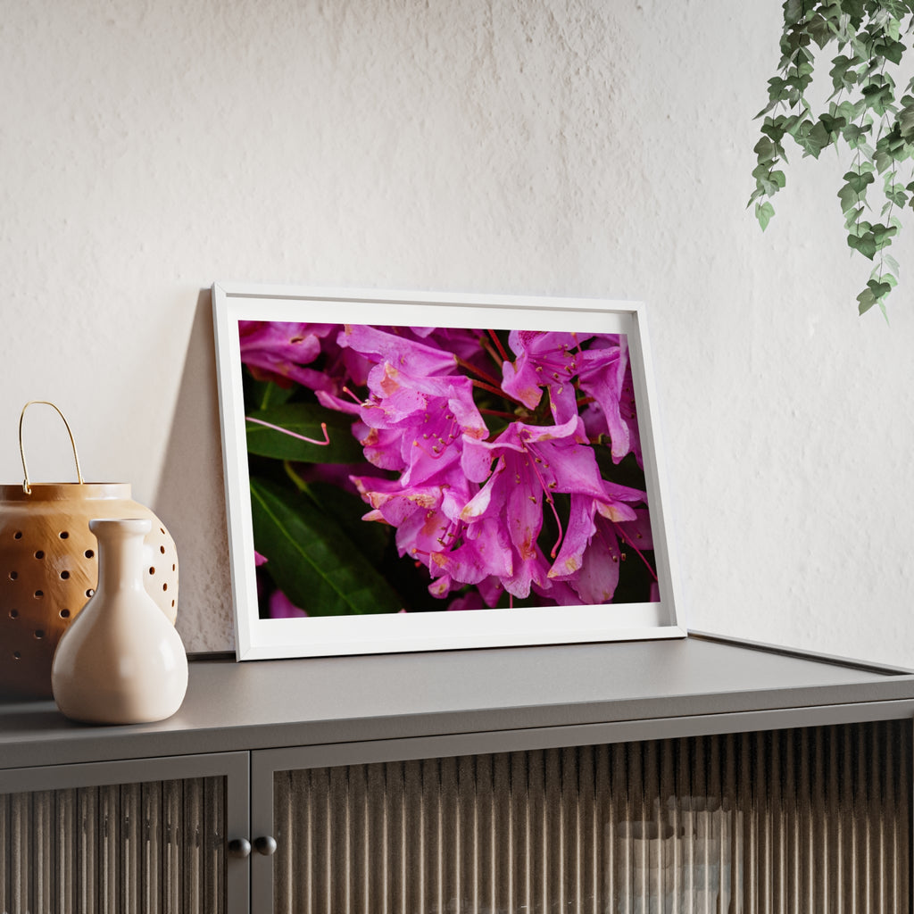 Framed Pink Rhododendron Poster — Floral Wall Art with Wooden Frame