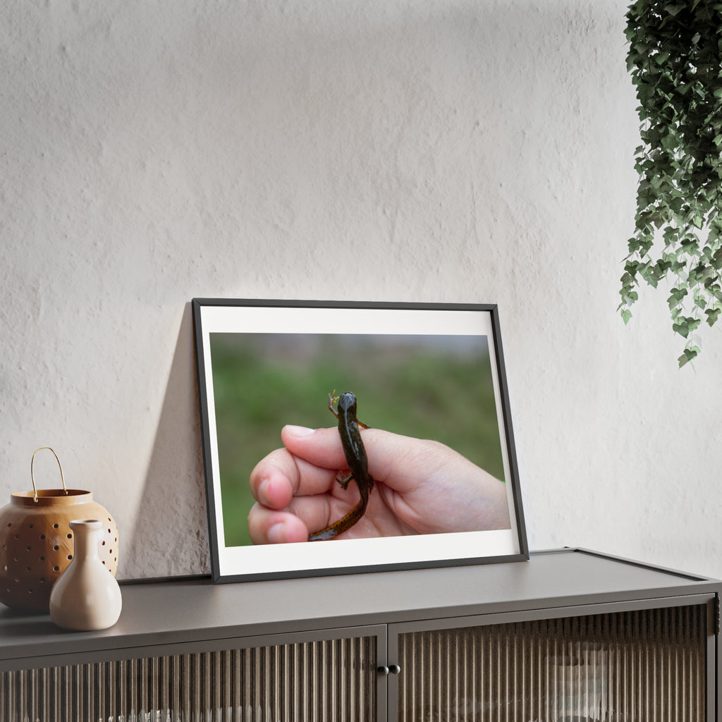 Framed Wildlife Photo Poster — Child Holding Newt