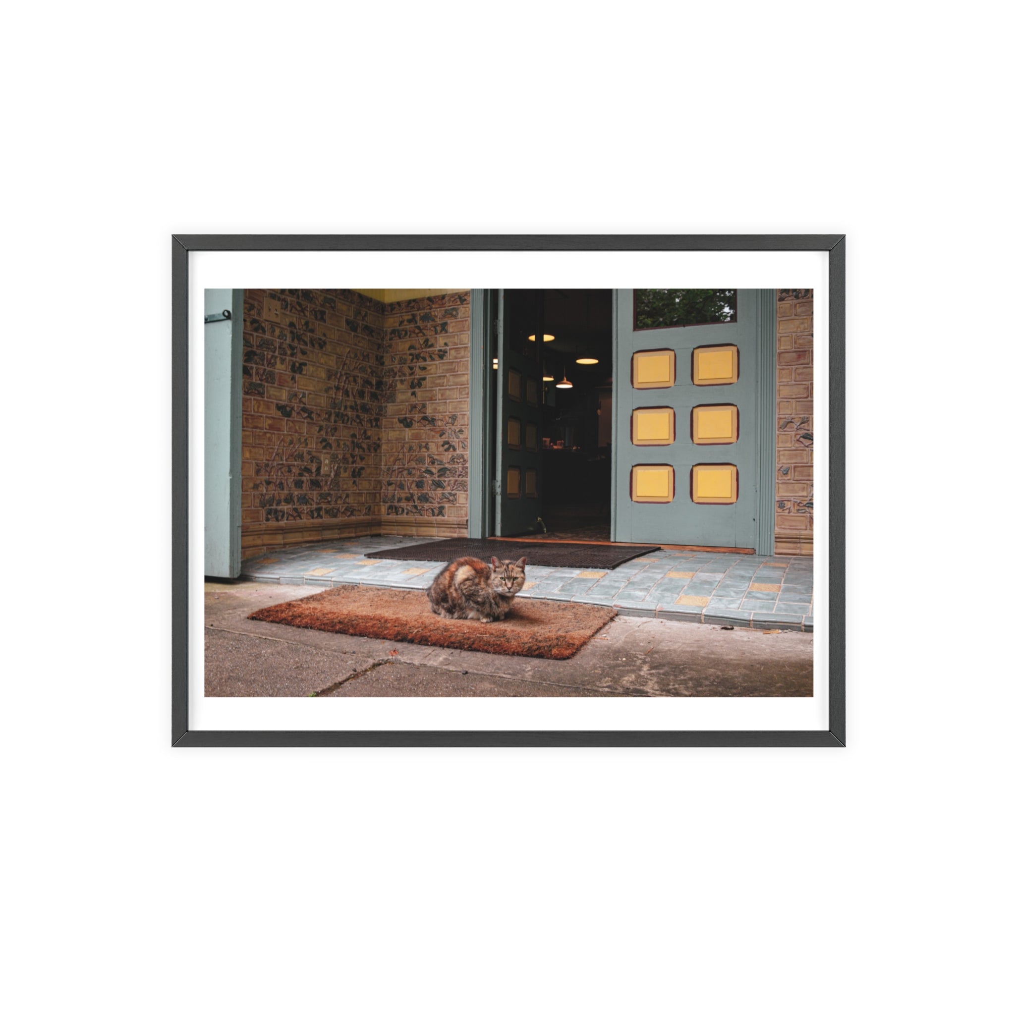 Cat sitting on a rug in front of a door with light fixtures.