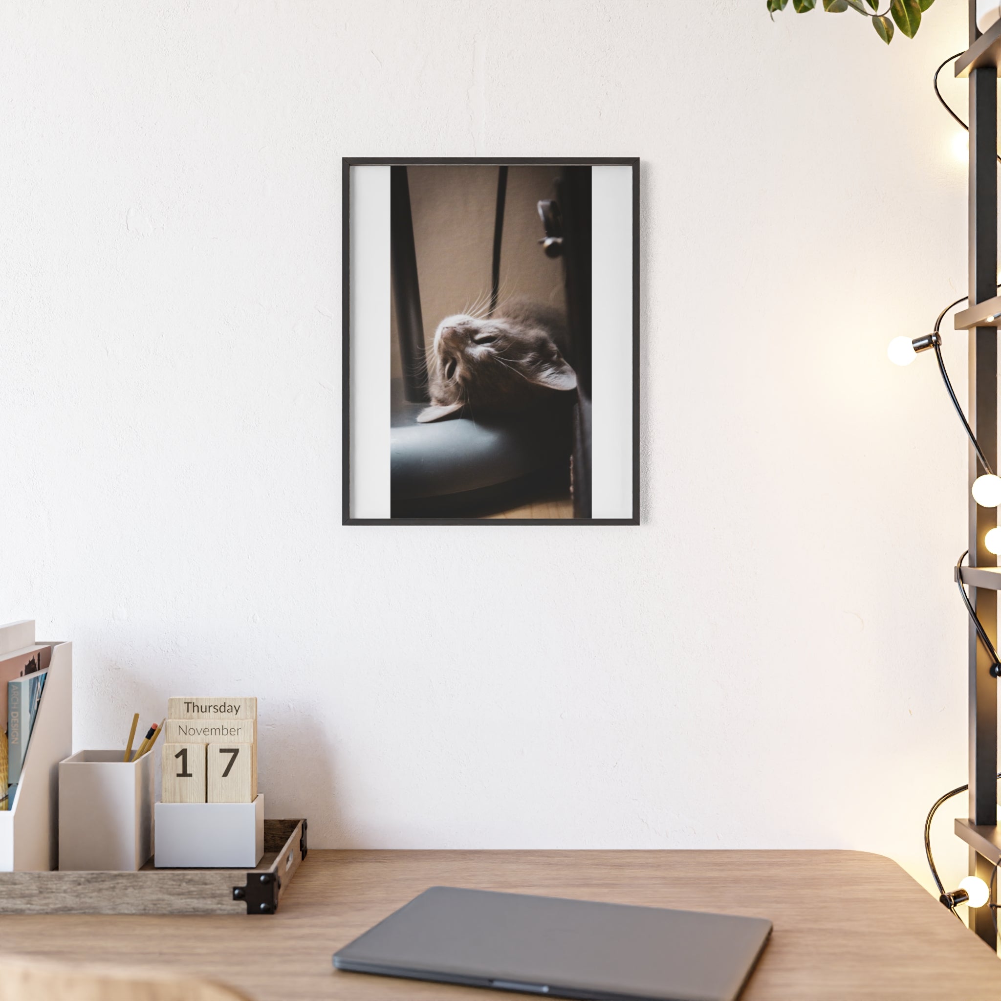 Framed Cat Photo Poster — Relaxing Nap Wall Art