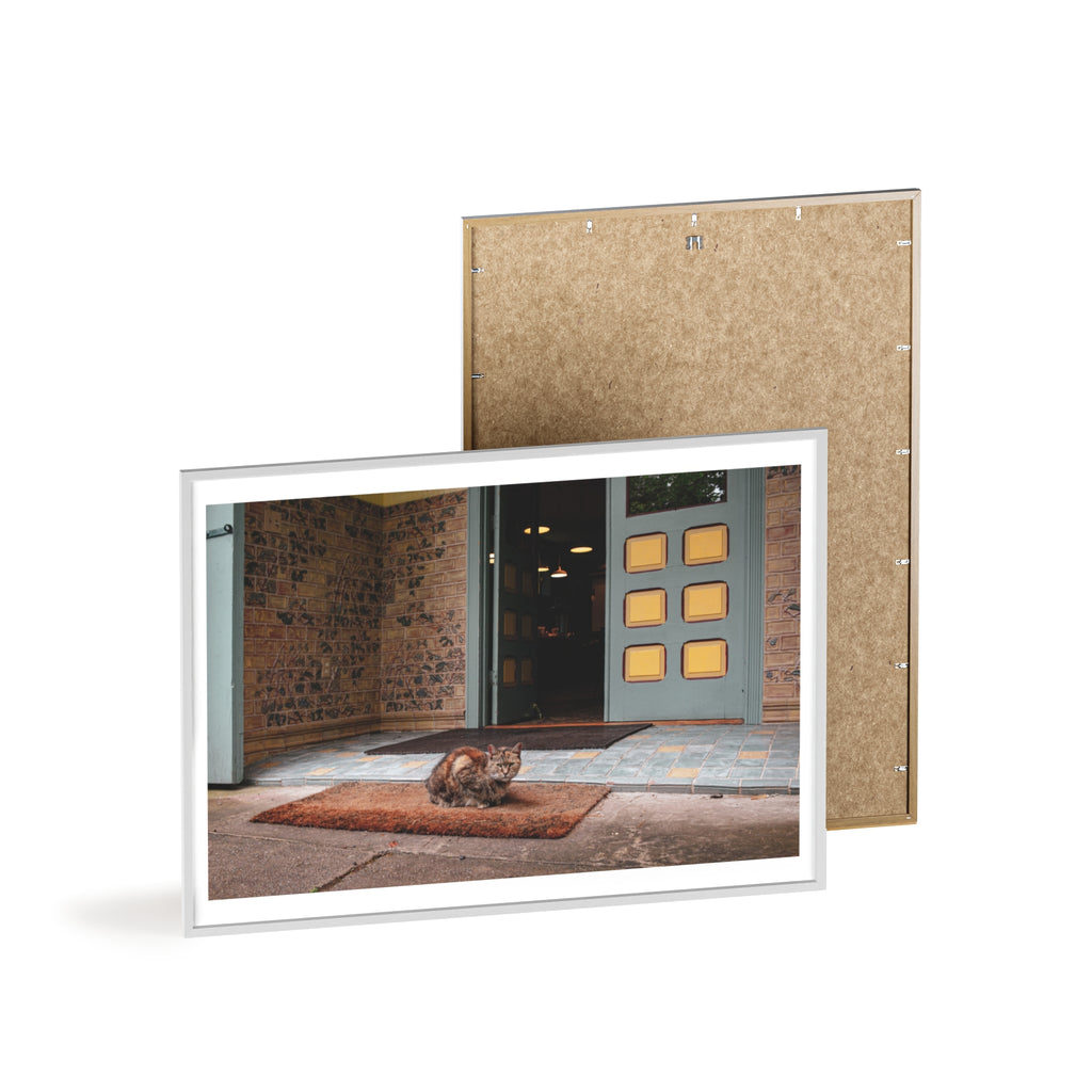 Framed Cat Doorstep Poster — Cozy Urban Entryway Wall Art