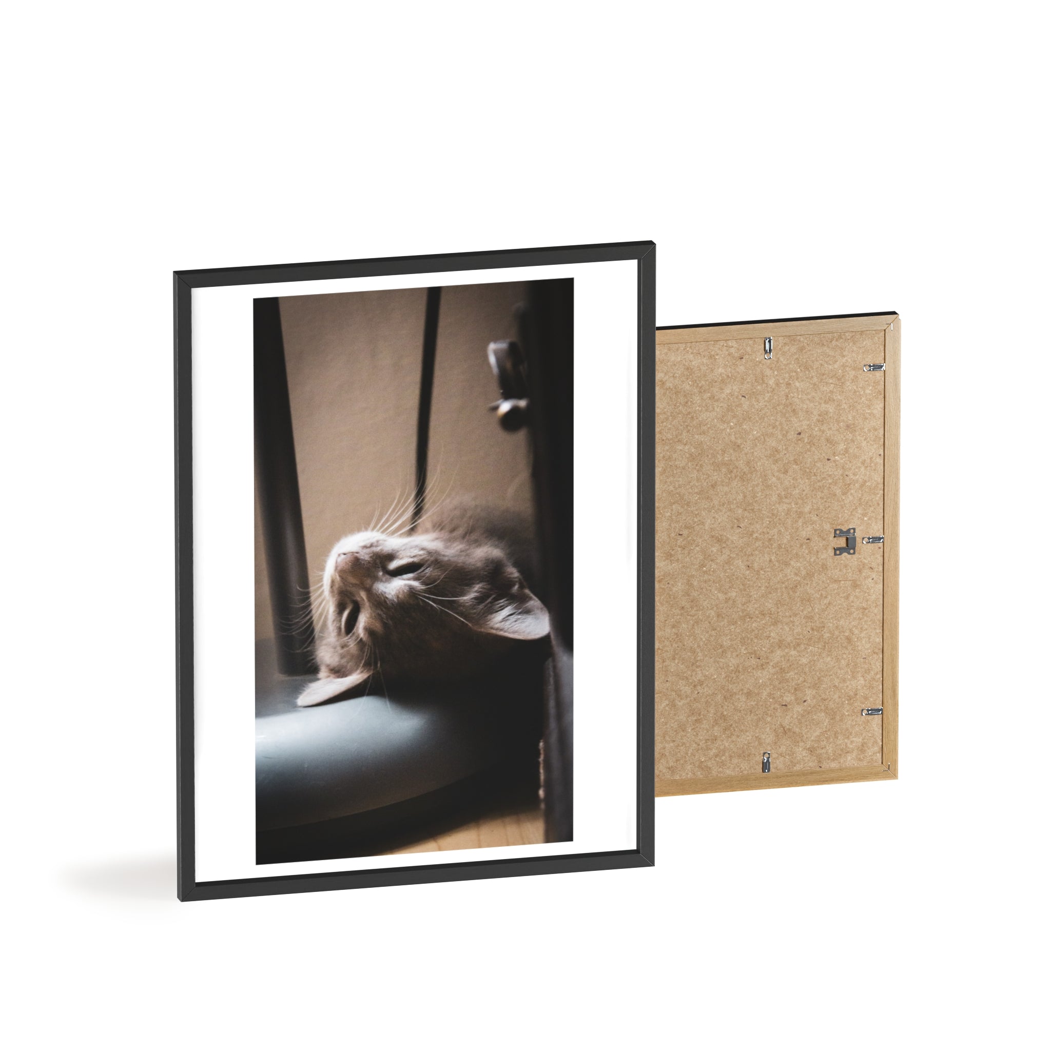 Framed Cat Photo Poster — Relaxing Nap Wall Art
