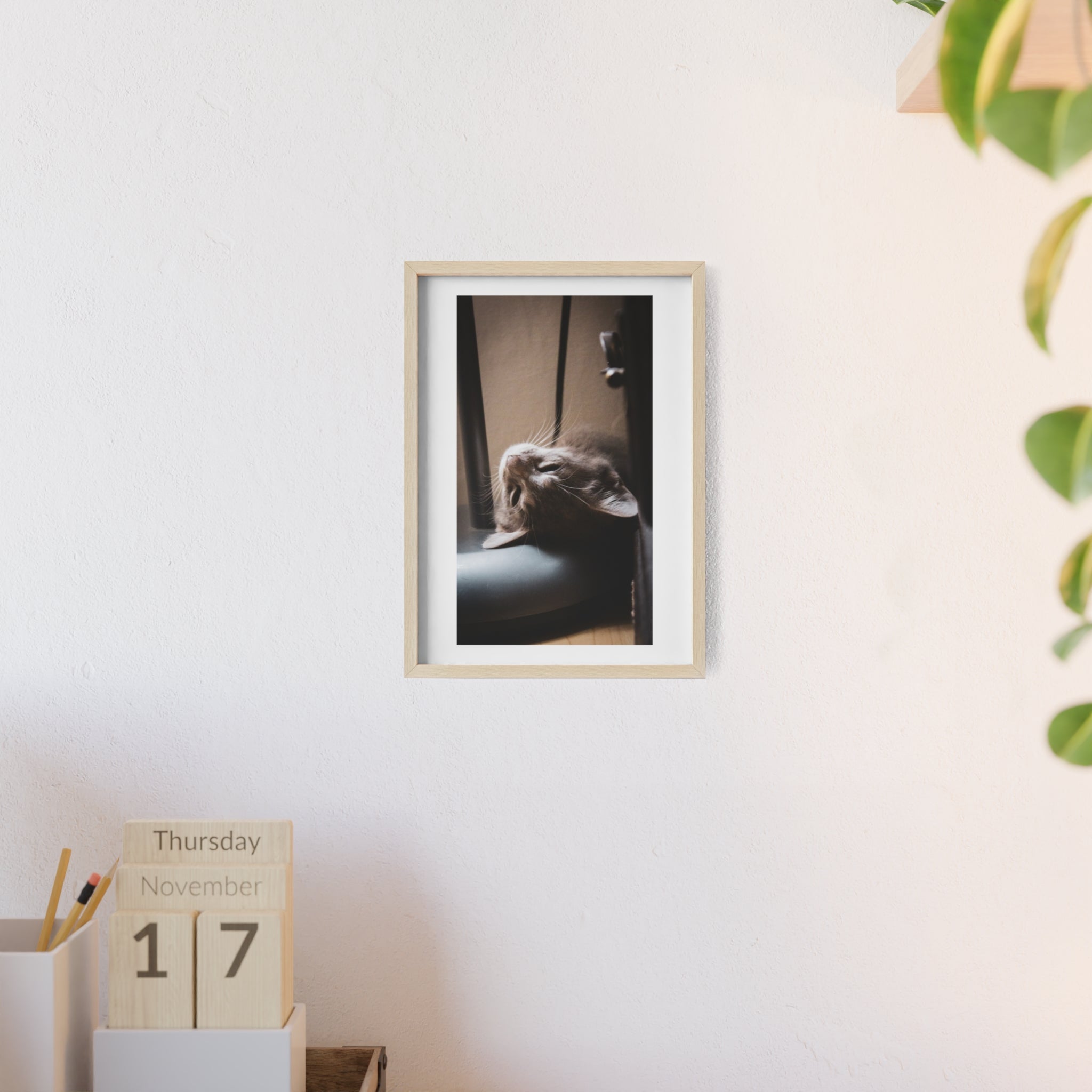 Framed Cat Photo Poster — Relaxing Nap Wall Art