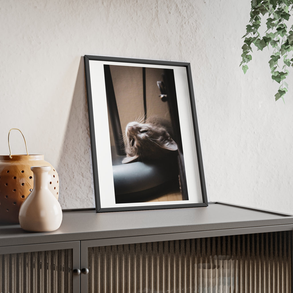 Framed Cat Photo Poster — Relaxing Nap Wall Art