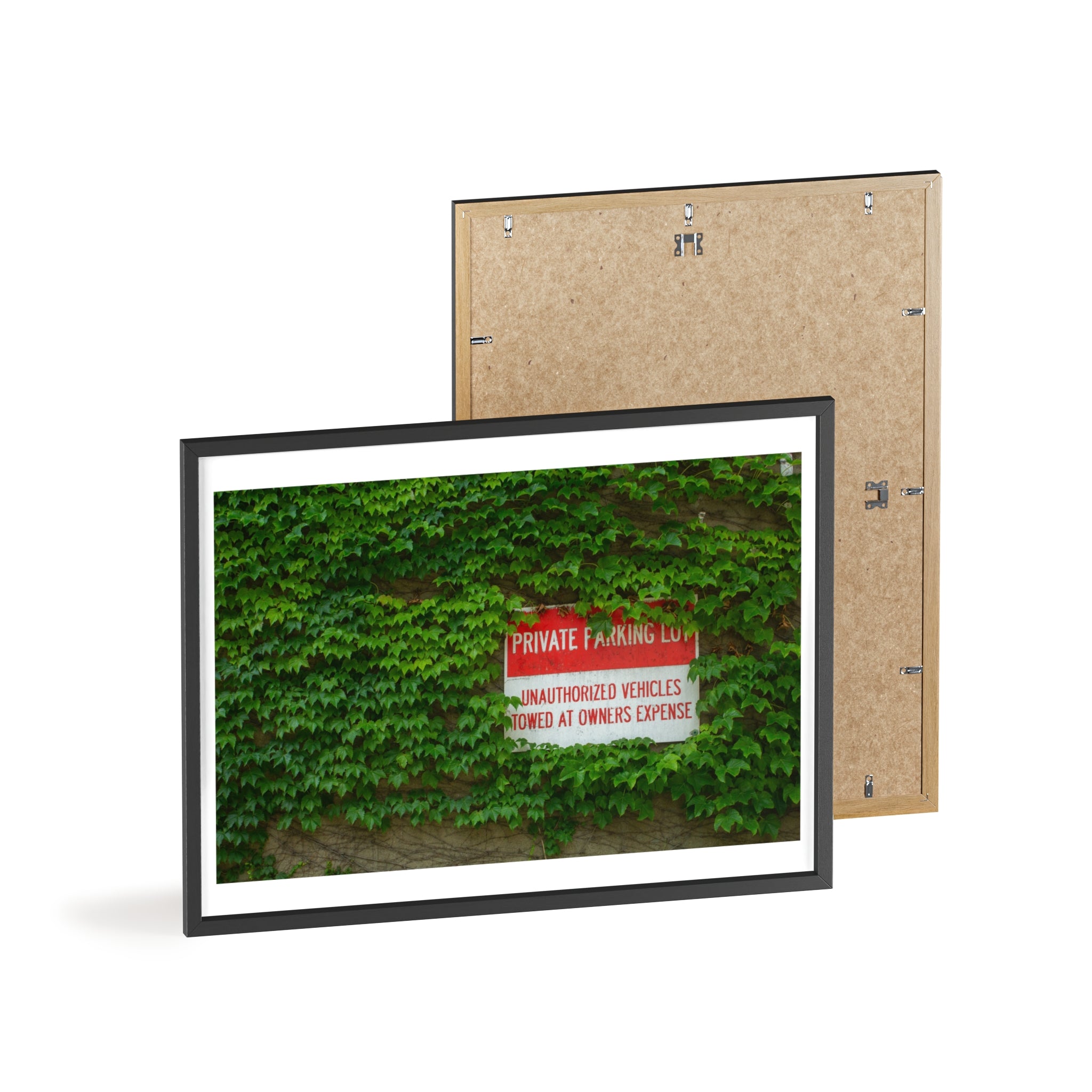 Ivy-Covered Wall Poster with Wooden Frame — “Private Parking” Vintage Sign Art