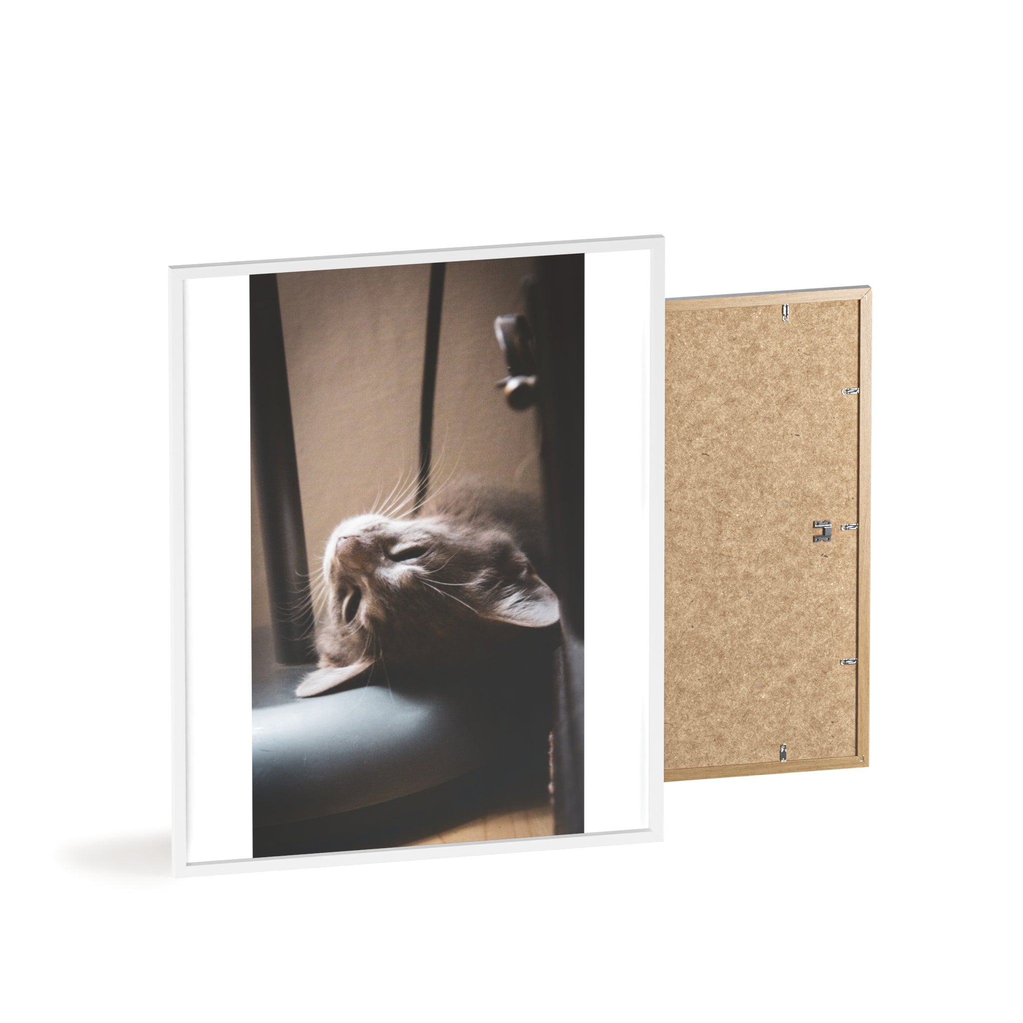 Framed Cat Photo Poster — Relaxing Nap Wall Art