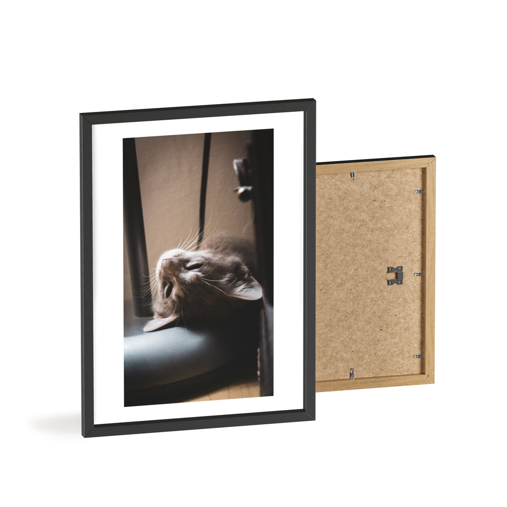 Framed Cat Photo Poster — Relaxing Nap Wall Art