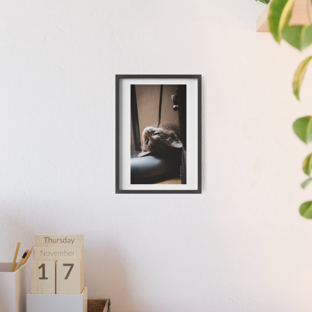 Framed Cat Photo Poster — Relaxing Nap Wall Art