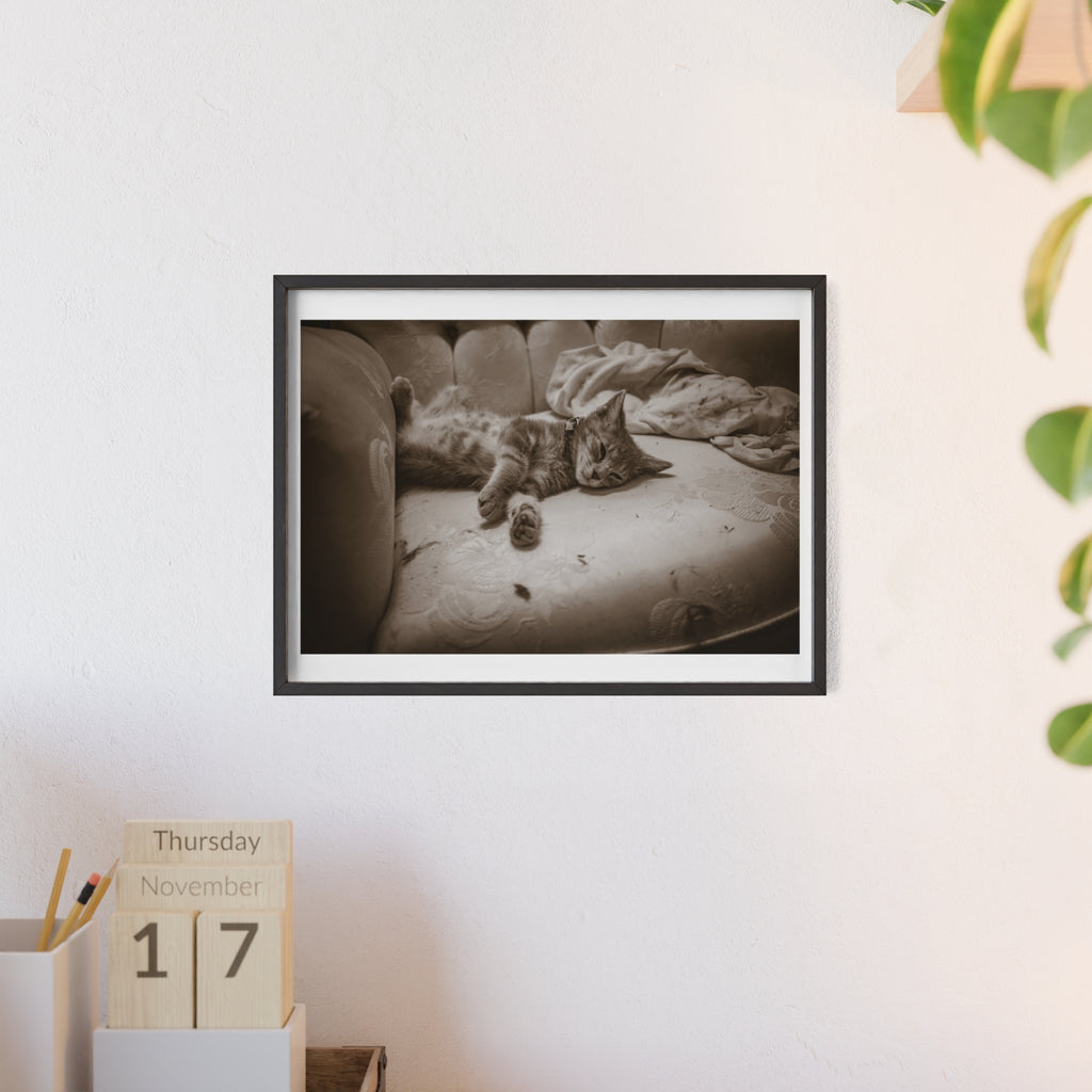 Sepia Cat Photo Poster with Wooden Frame — Vintage Wall Art for Cat Lovers