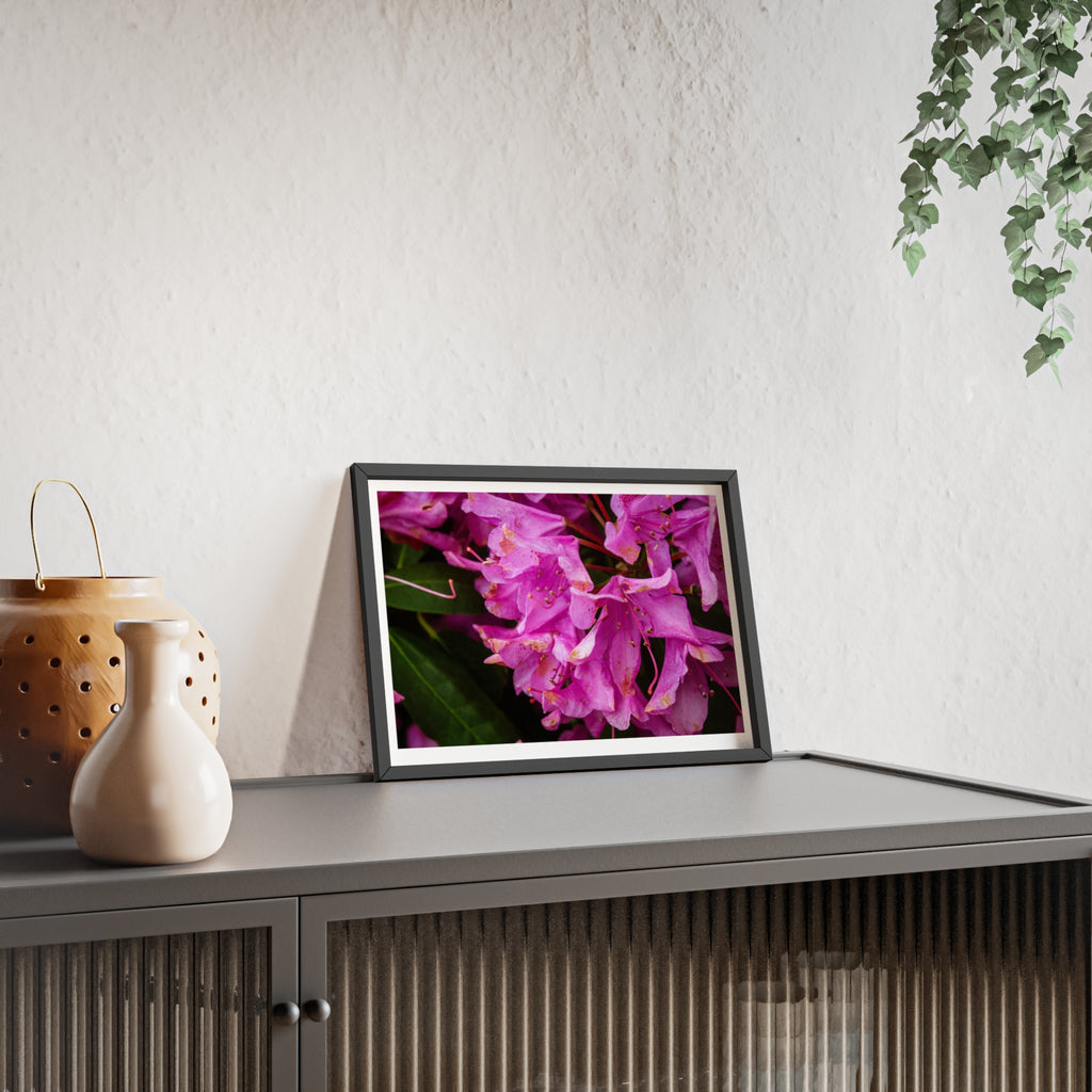 Framed Pink Rhododendron Poster — Floral Wall Art with Wooden Frame