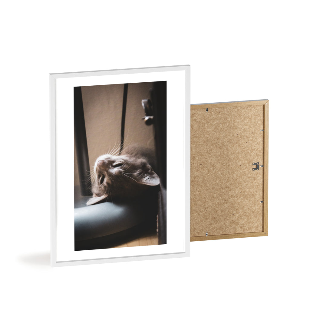 Framed Cat Photo Poster — Relaxing Nap Wall Art