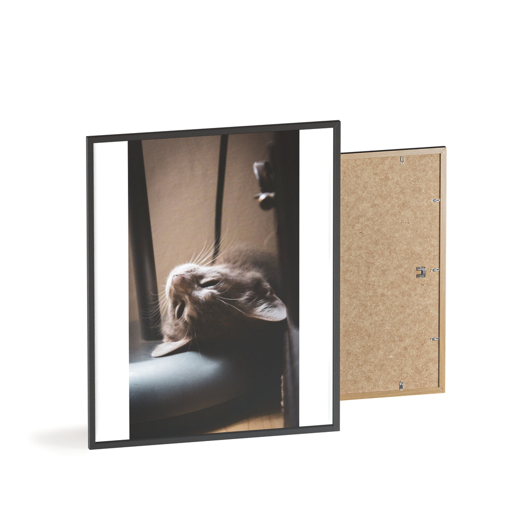 Framed Cat Photo Poster — Relaxing Nap Wall Art