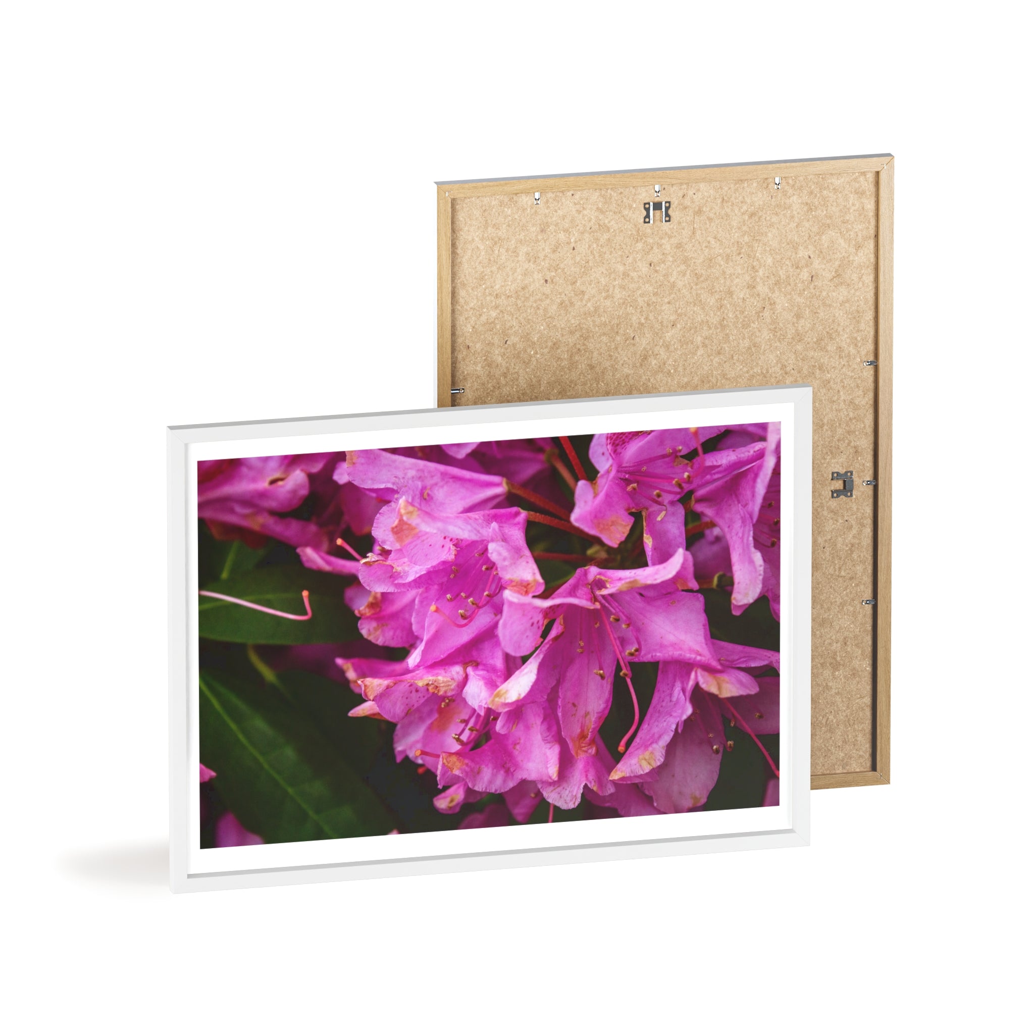 Framed Pink Rhododendron Poster — Floral Wall Art with Wooden Frame