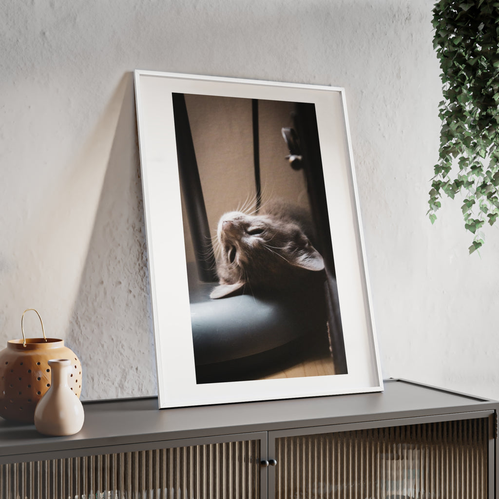 Framed Cat Photo Poster — Relaxing Nap Wall Art