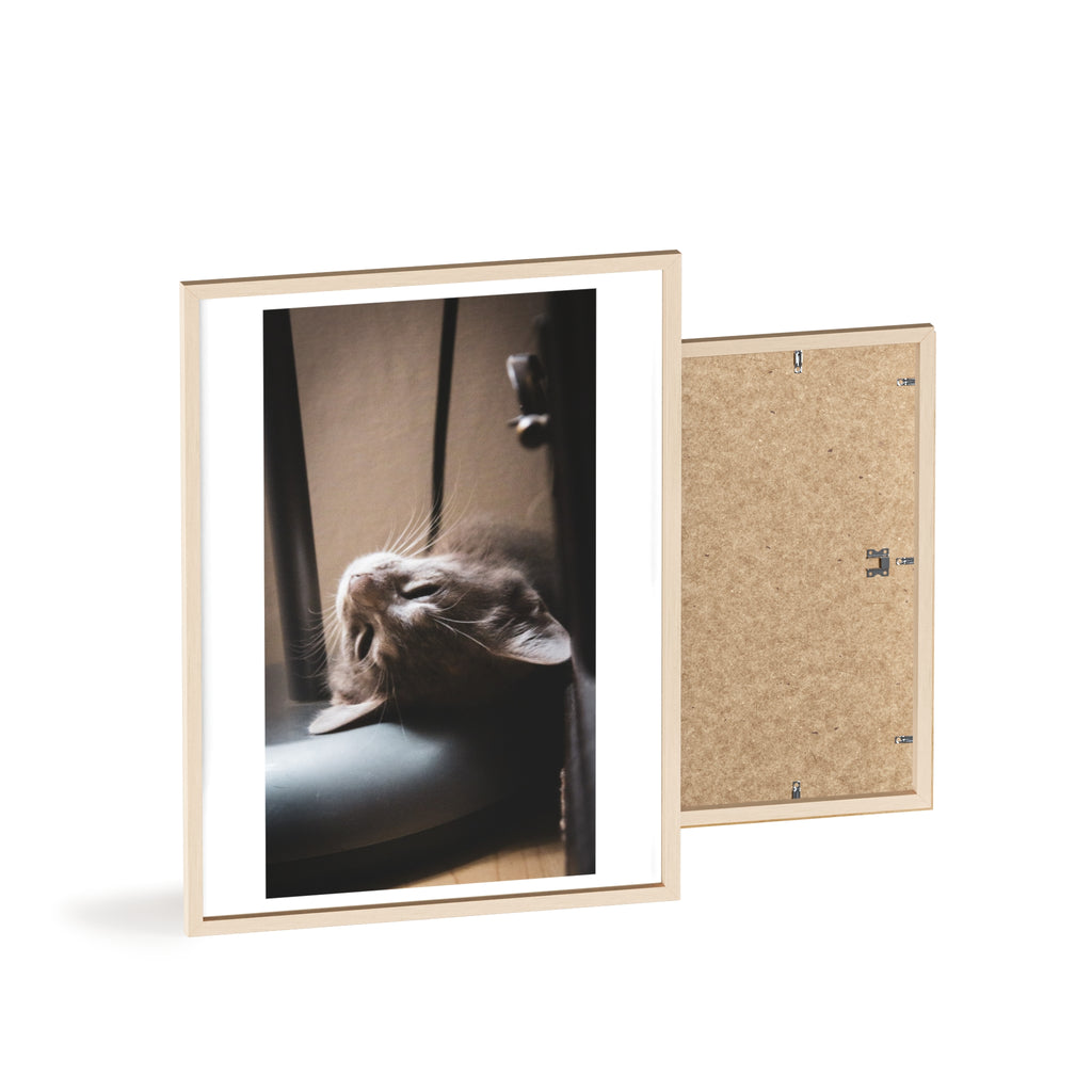 Framed Cat Photo Poster — Relaxing Nap Wall Art
