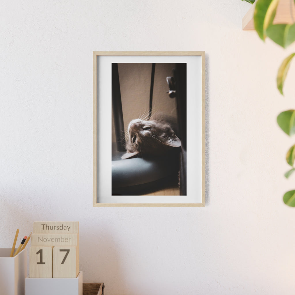 Framed Cat Photo Poster — Relaxing Nap Wall Art