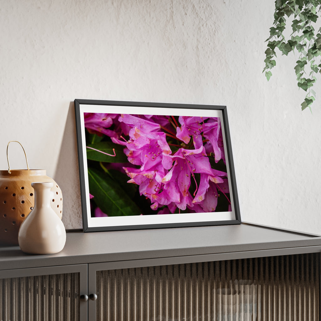 Framed Pink Rhododendron Poster — Floral Wall Art with Wooden Frame