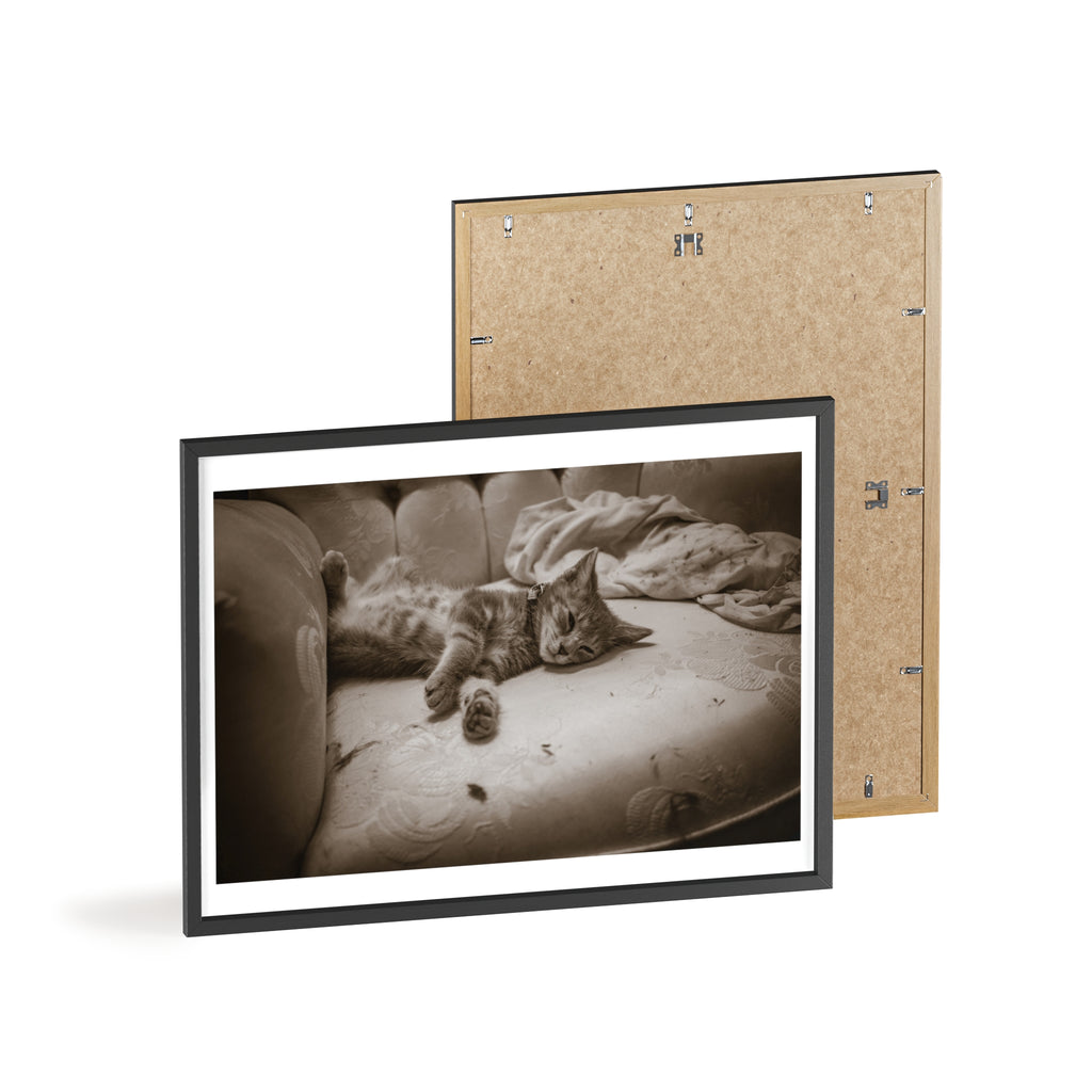 Sepia Cat Photo Poster with Wooden Frame — Vintage Wall Art for Cat Lovers