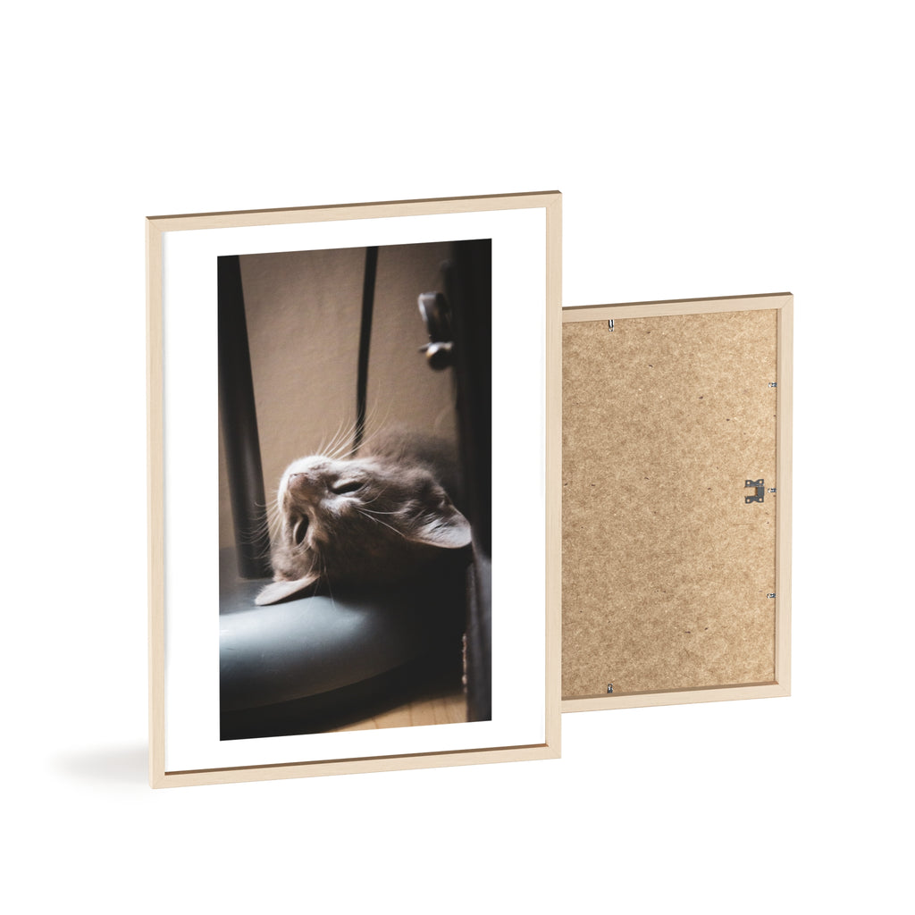 Framed Cat Photo Poster — Relaxing Nap Wall Art