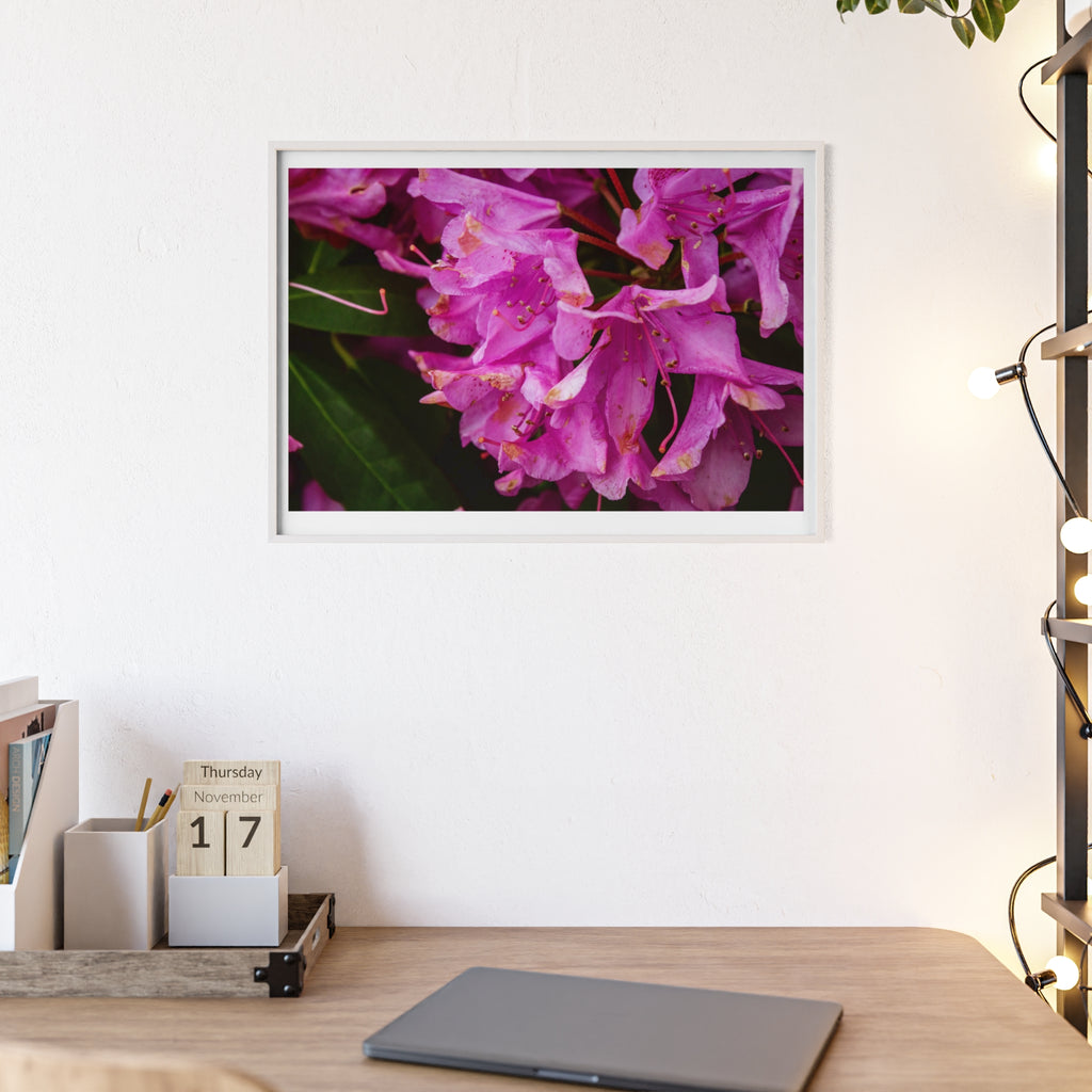 Framed Pink Rhododendron Poster — Floral Wall Art with Wooden Frame