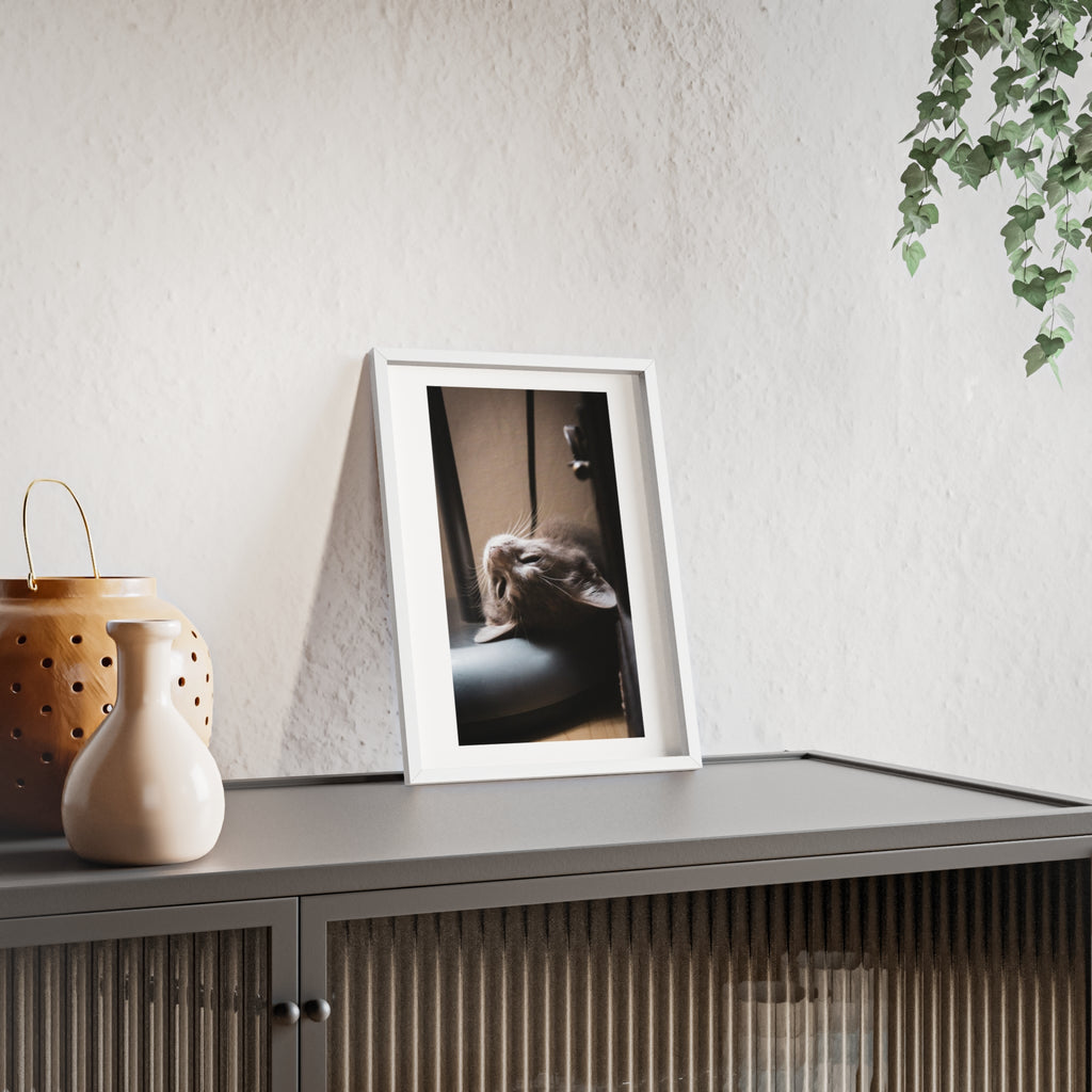 Framed Cat Photo Poster — Relaxing Nap Wall Art