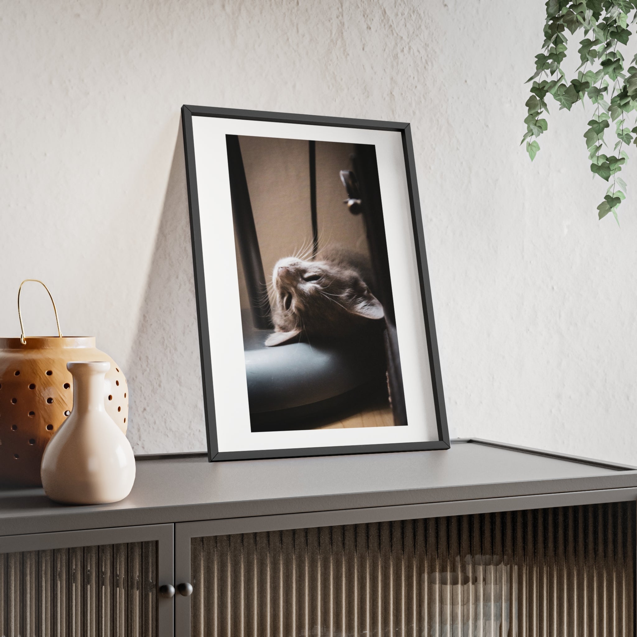 Framed Cat Photo Poster — Relaxing Nap Wall Art