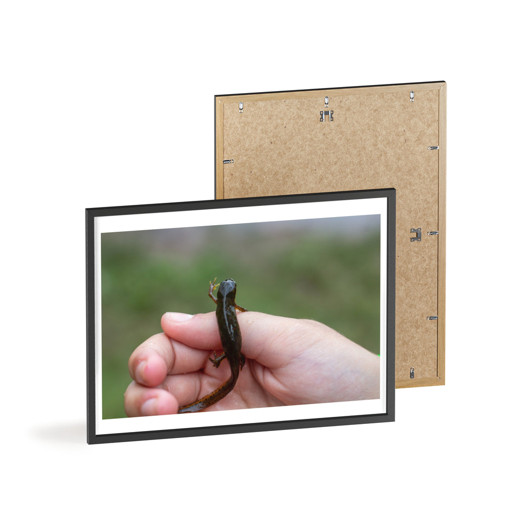 Framed Wildlife Photo Poster — Child Holding Newt