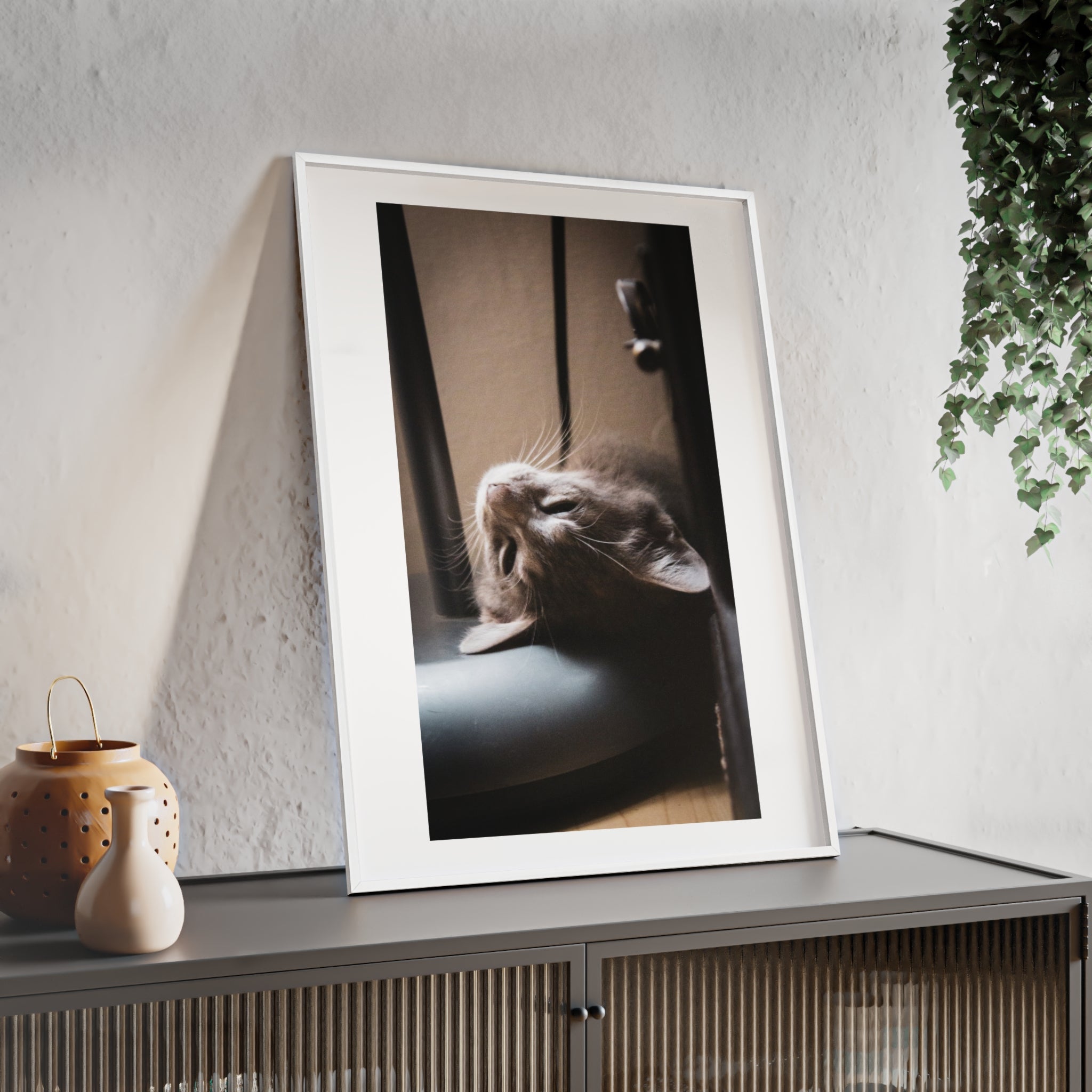 Framed Cat Photo Poster — Relaxing Nap Wall Art