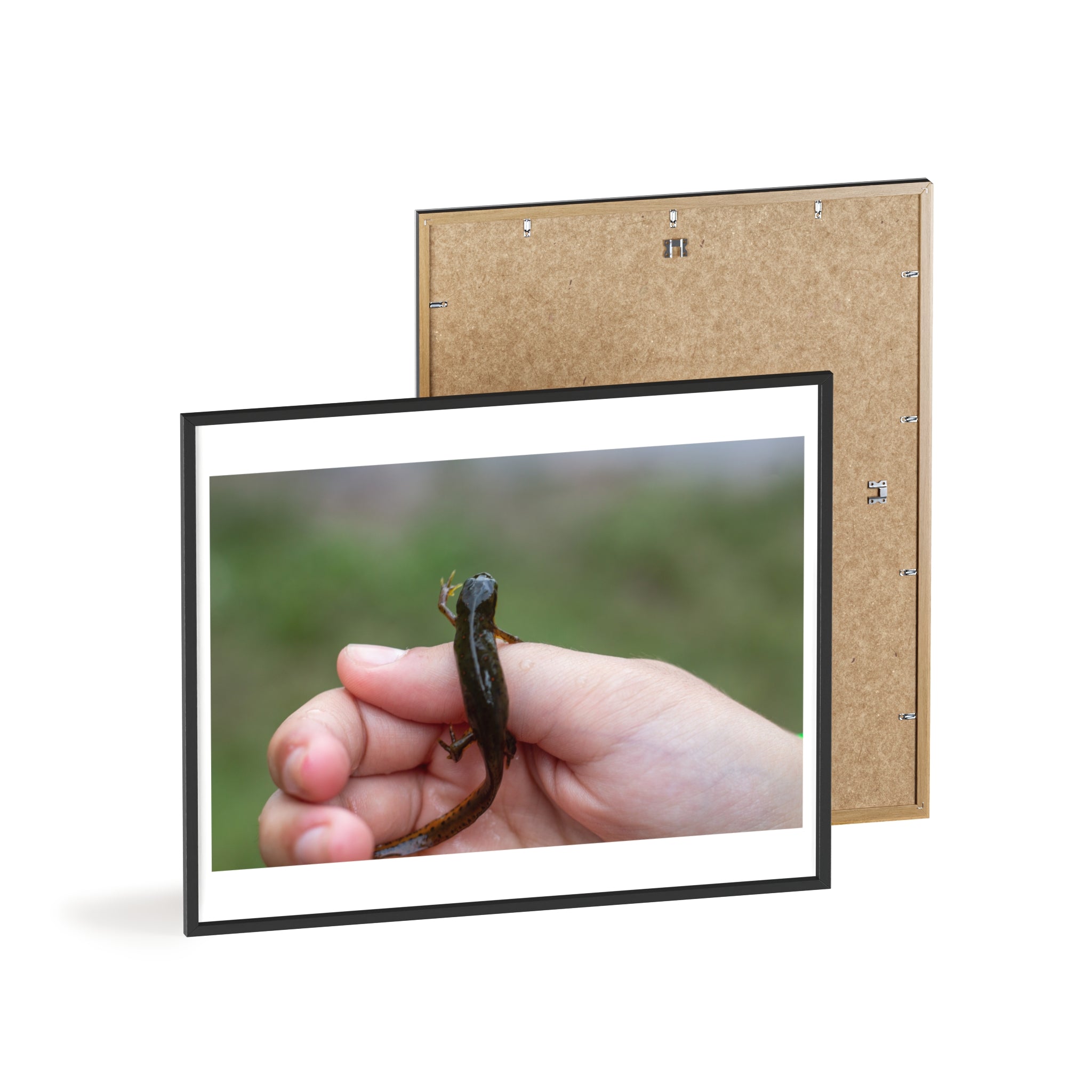 Framed Wildlife Photo Poster — Child Holding Newt