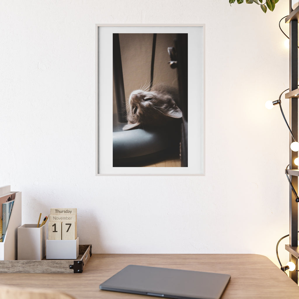 Framed Cat Photo Poster — Relaxing Nap Wall Art