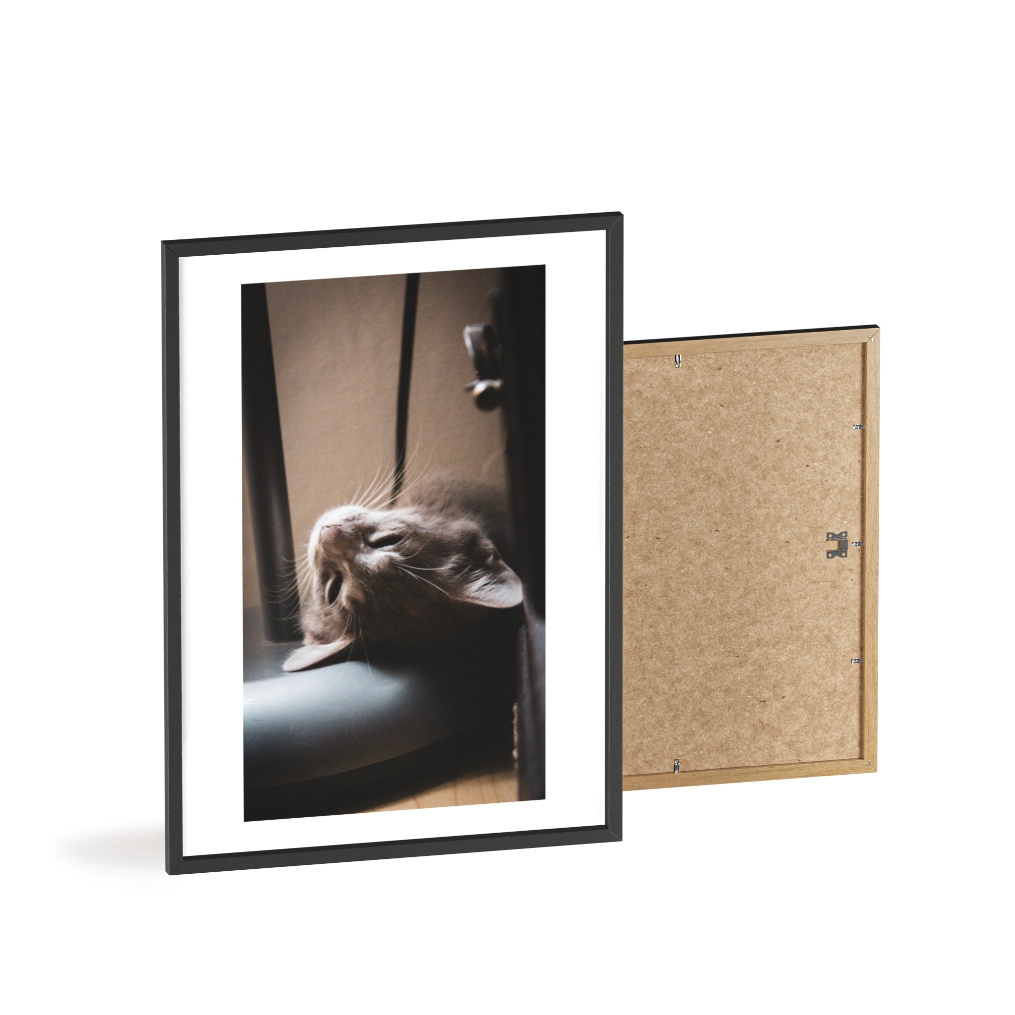 Framed Cat Photo Poster — Relaxing Nap Wall Art